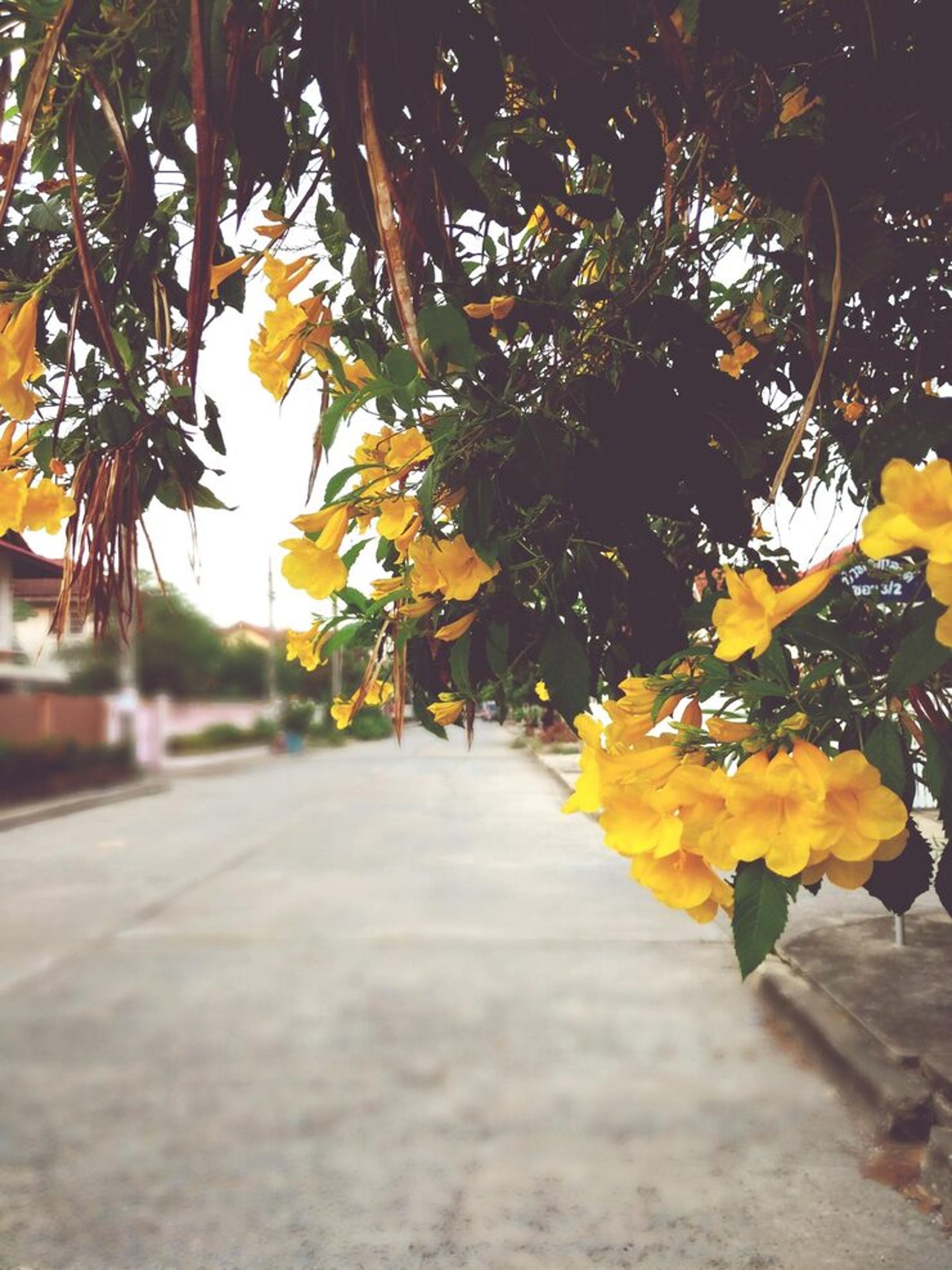 an abstract photo of a curved building with a blue sky in the background