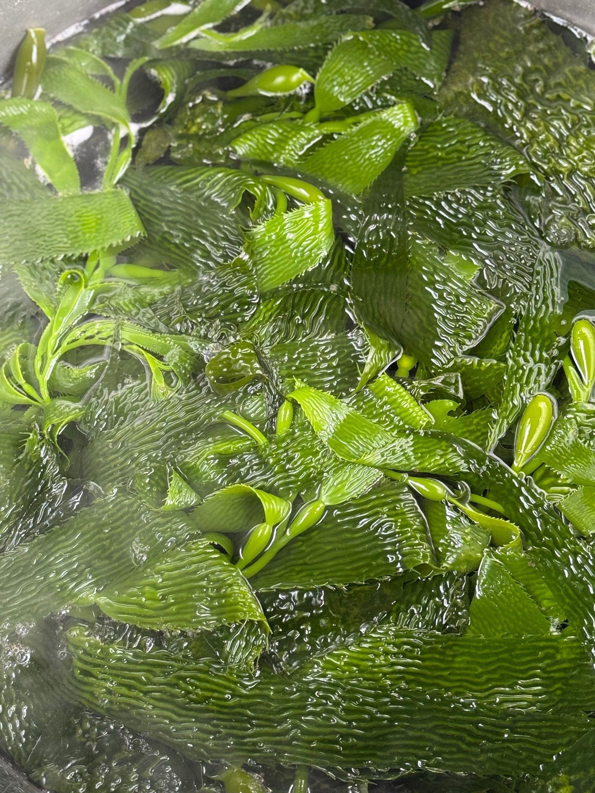 woman wearing yellow long-sleeved dress under white clouds and blue sky during daytime