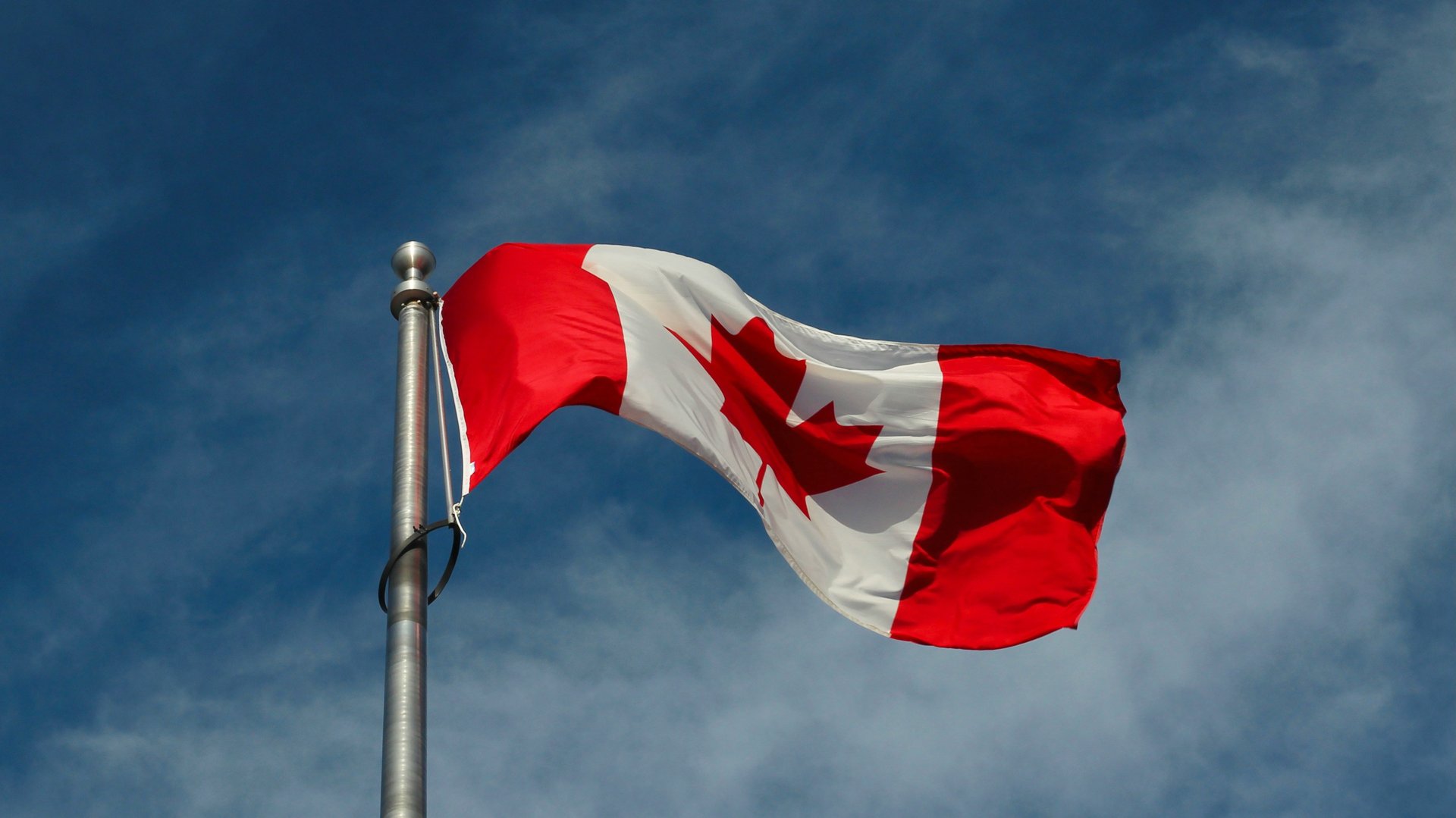 black and brown leather padded tub sofa