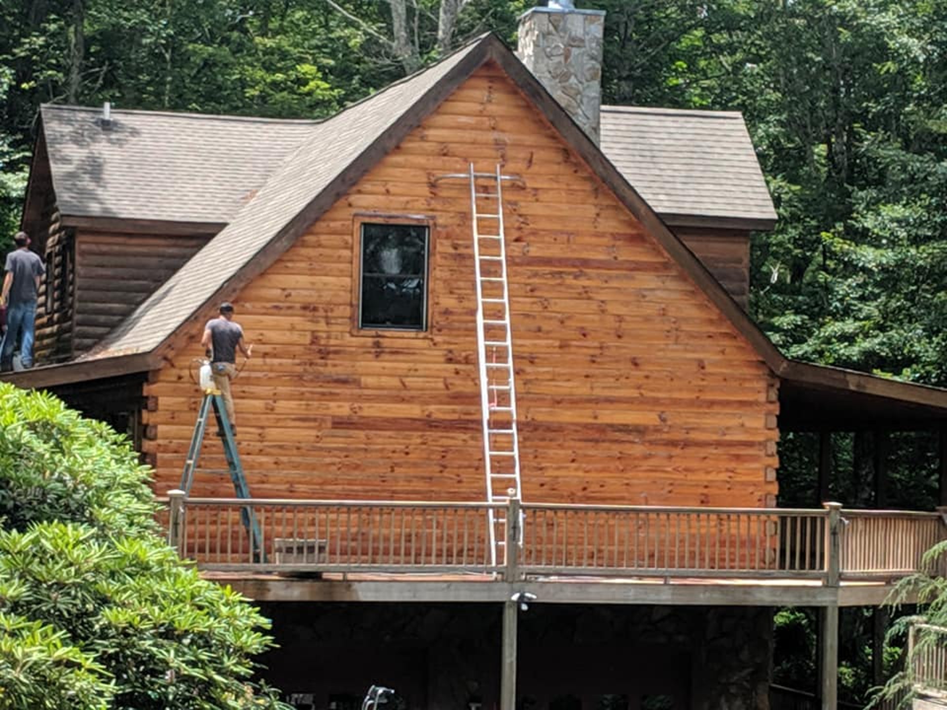 black and white bed linen