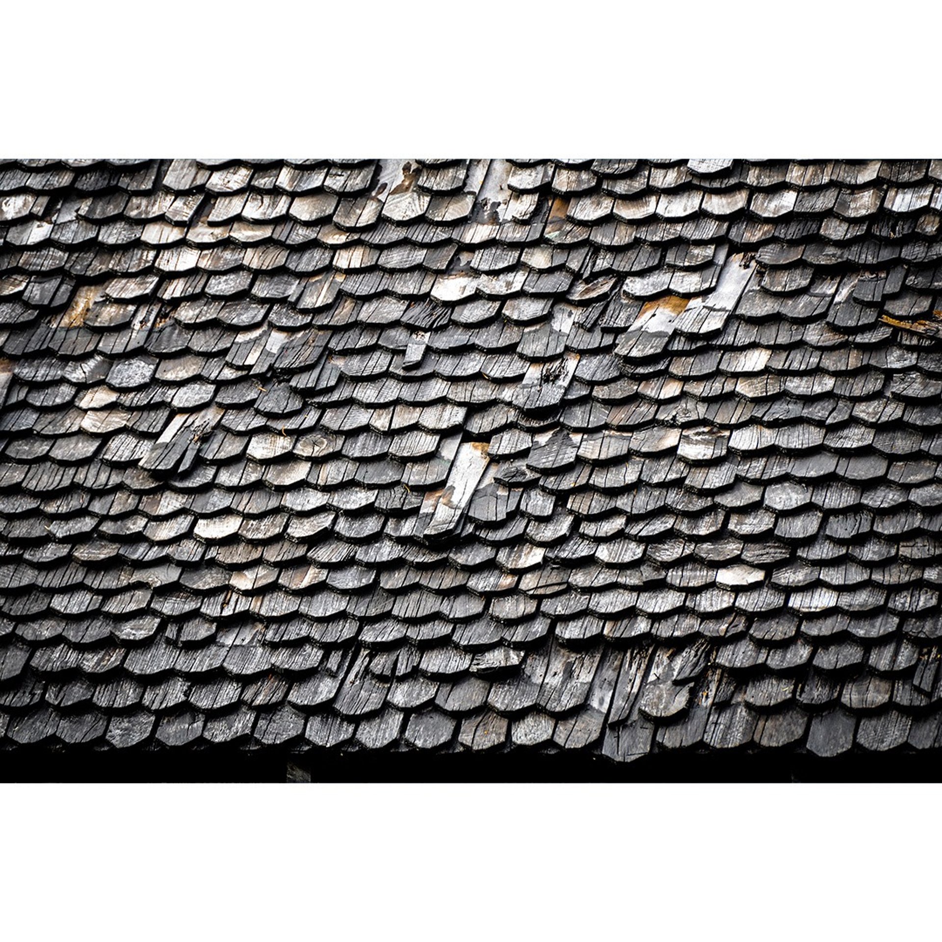 woman wearing yellow long-sleeved dress under white clouds and blue sky during daytime