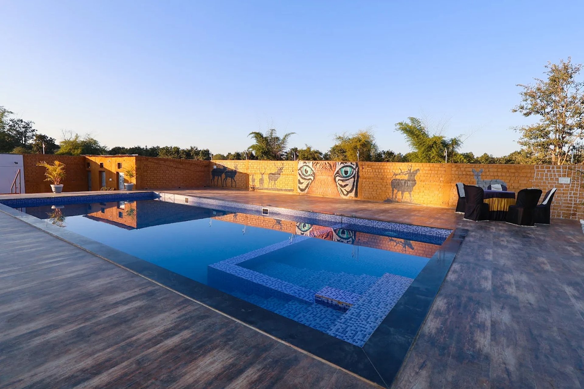 swimming pool near green trees during daytime