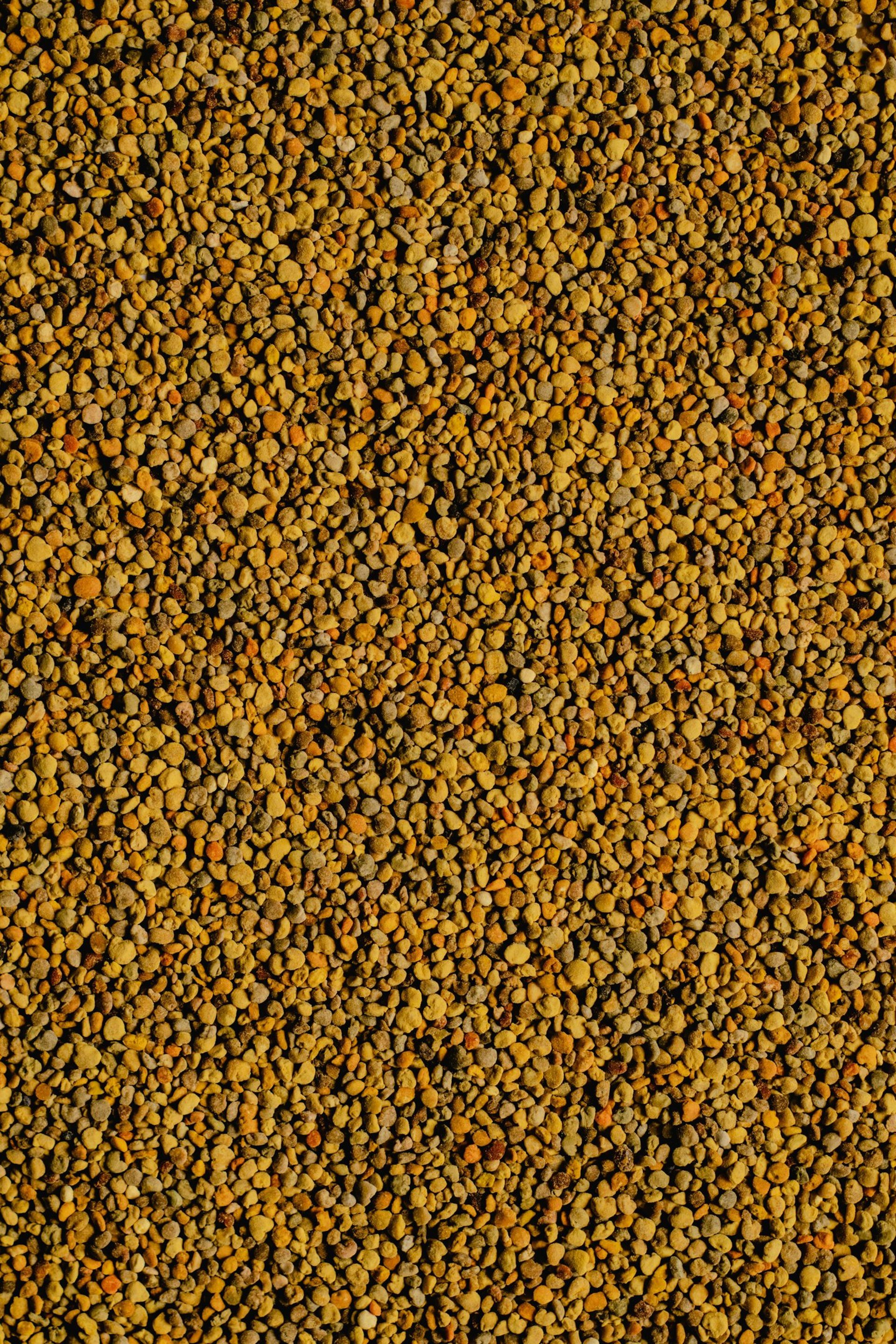 bed of orange flowers
