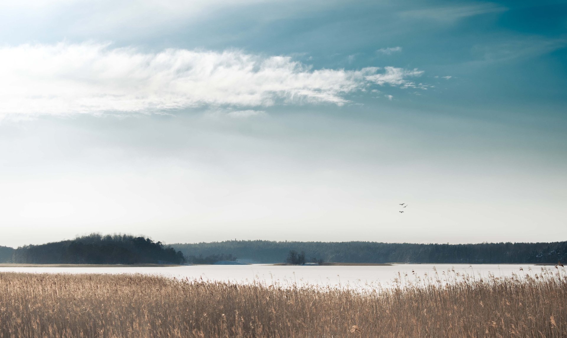 body of water under sky