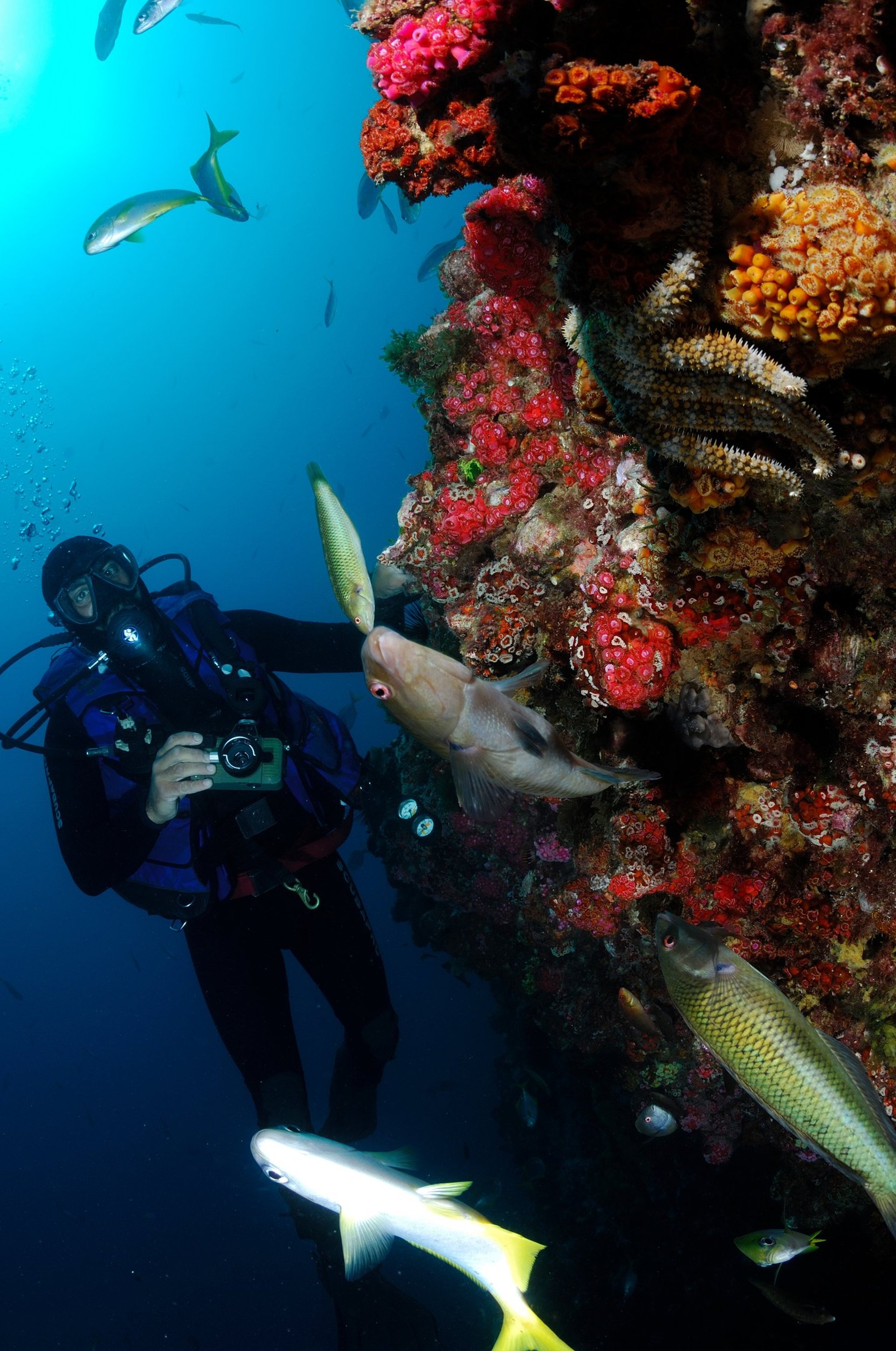 a close up of a black and brown abstract painting