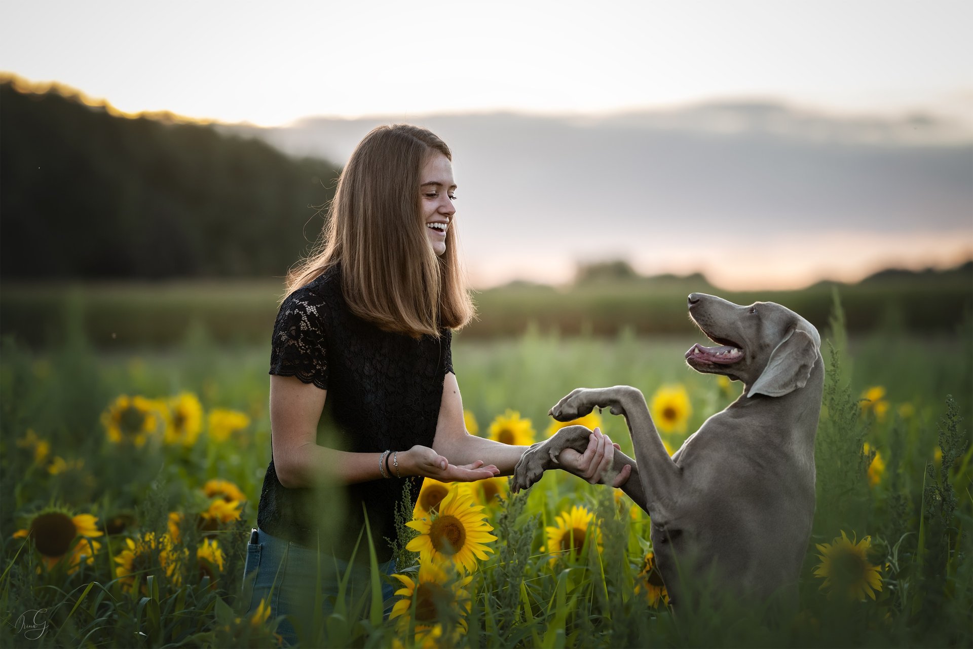 gray computer monitor