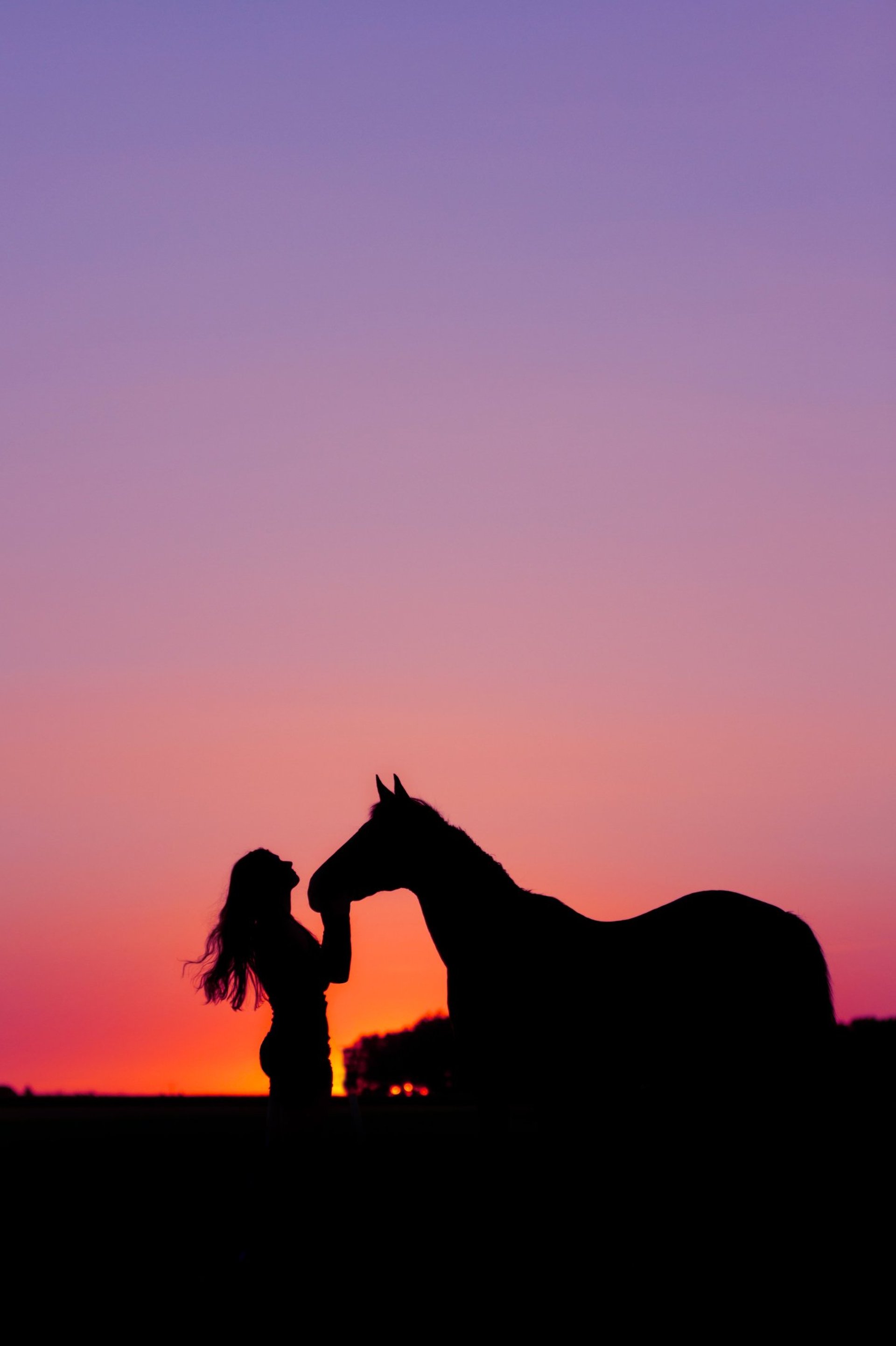 an abstract photo of a curved building with a blue sky in the background