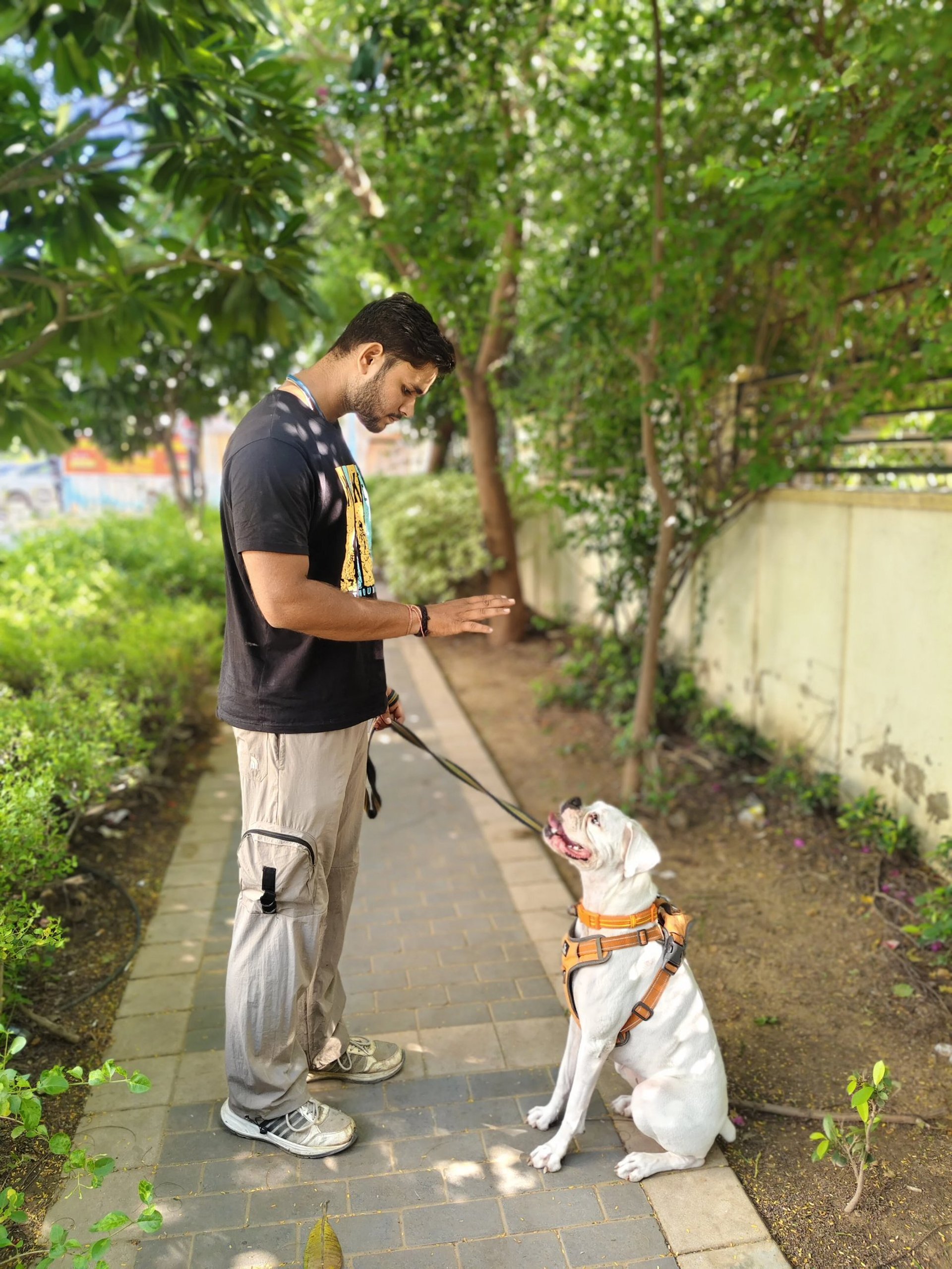 certified dog trainer in gurgaon at gurgaondogtraining.in