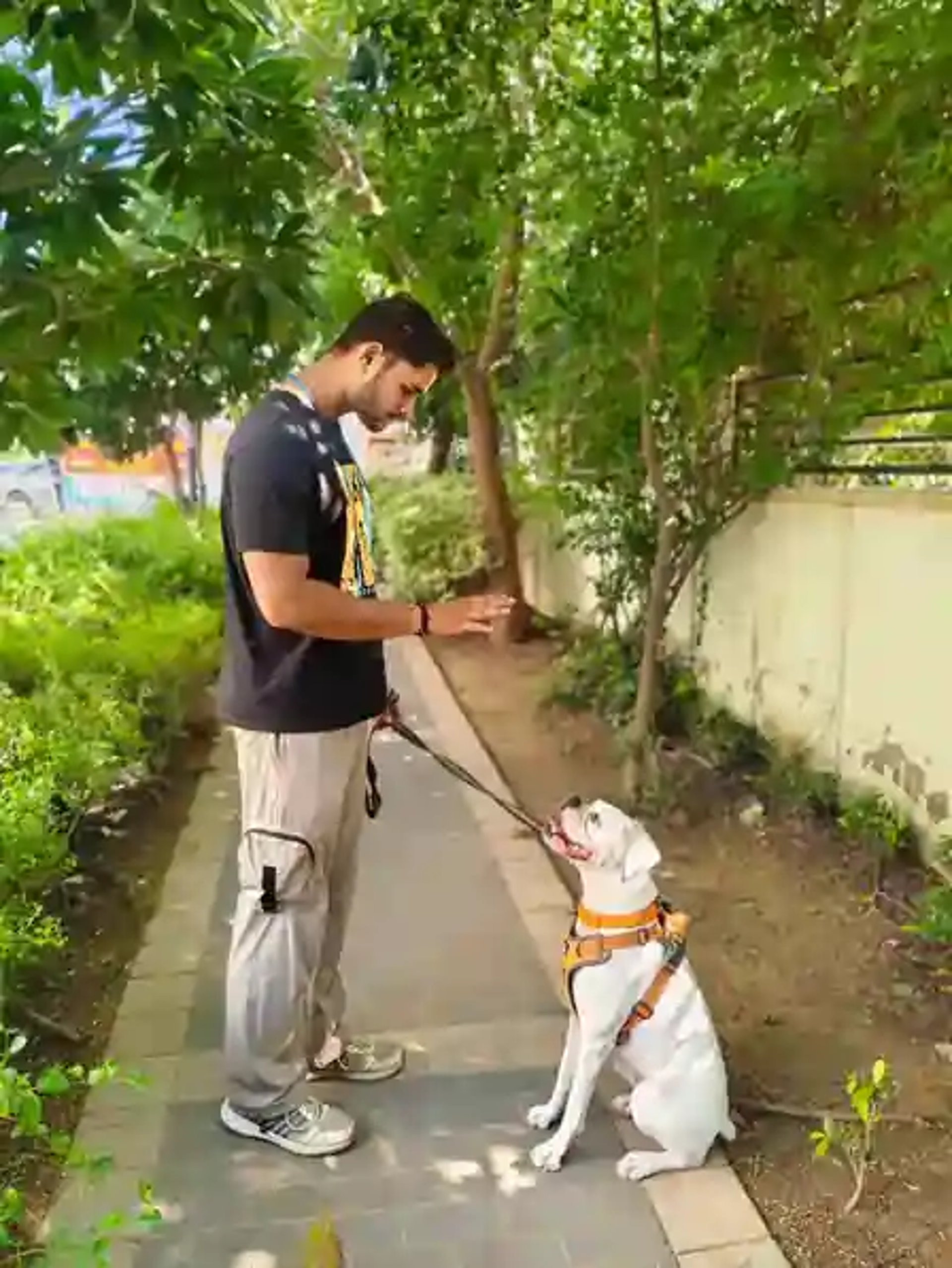 Krishna dog trainer