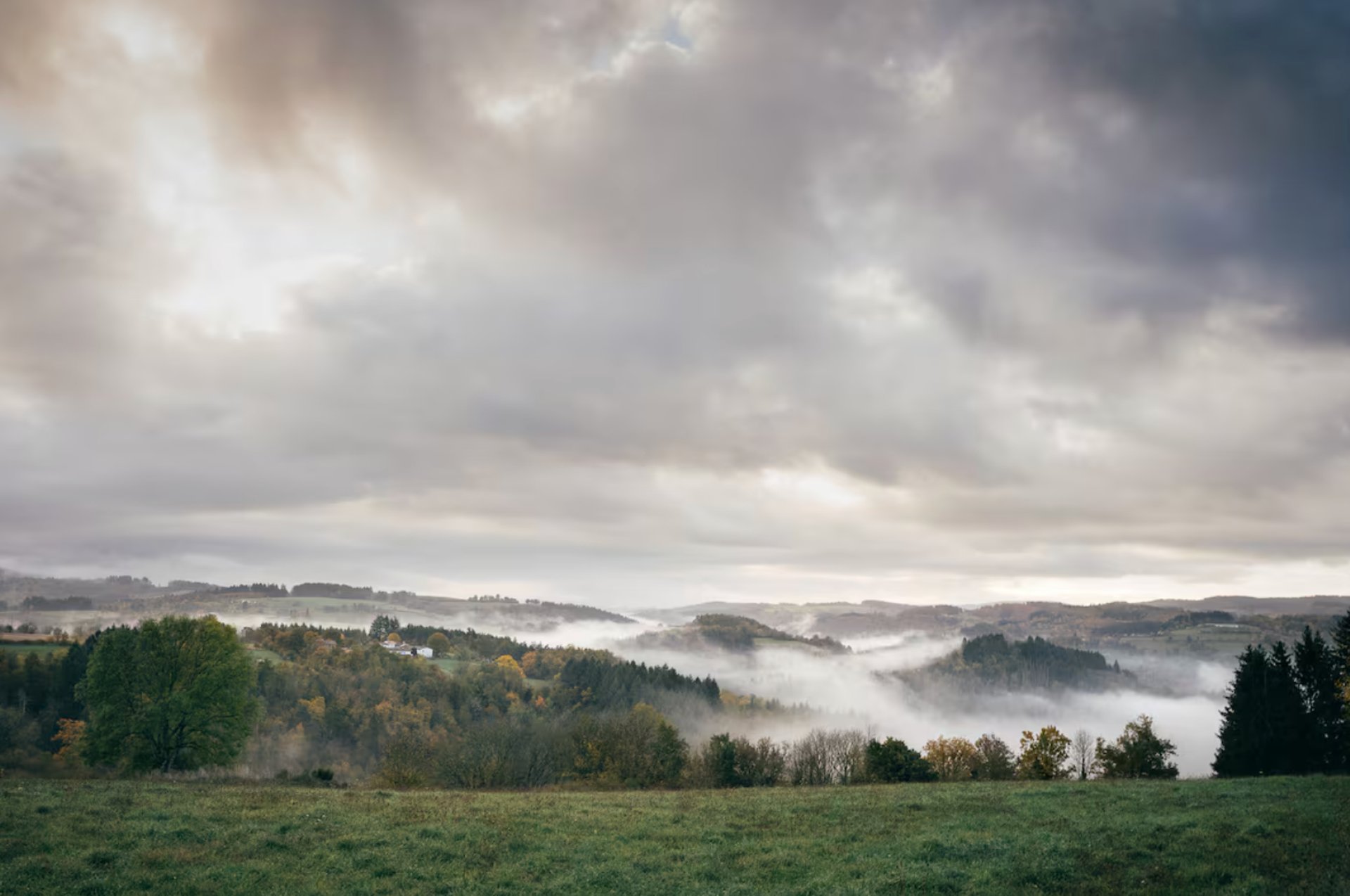 black blue and yellow textile