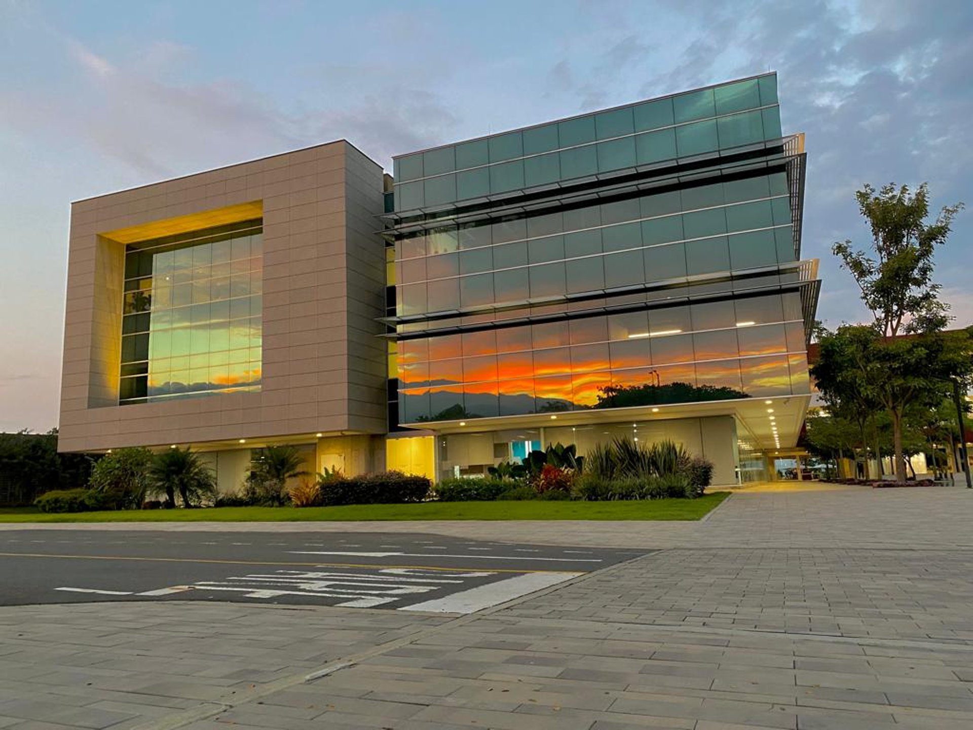 black blue and yellow textile