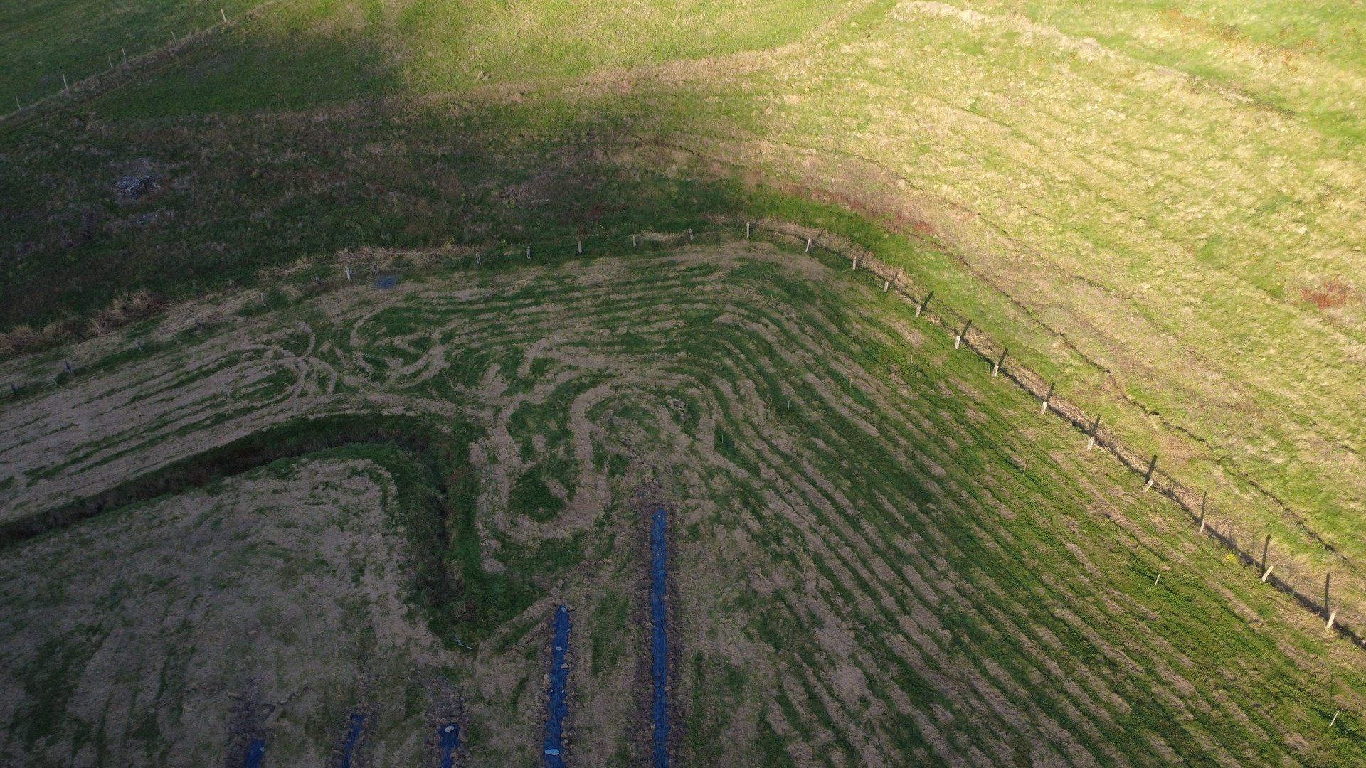 gray computer monitor