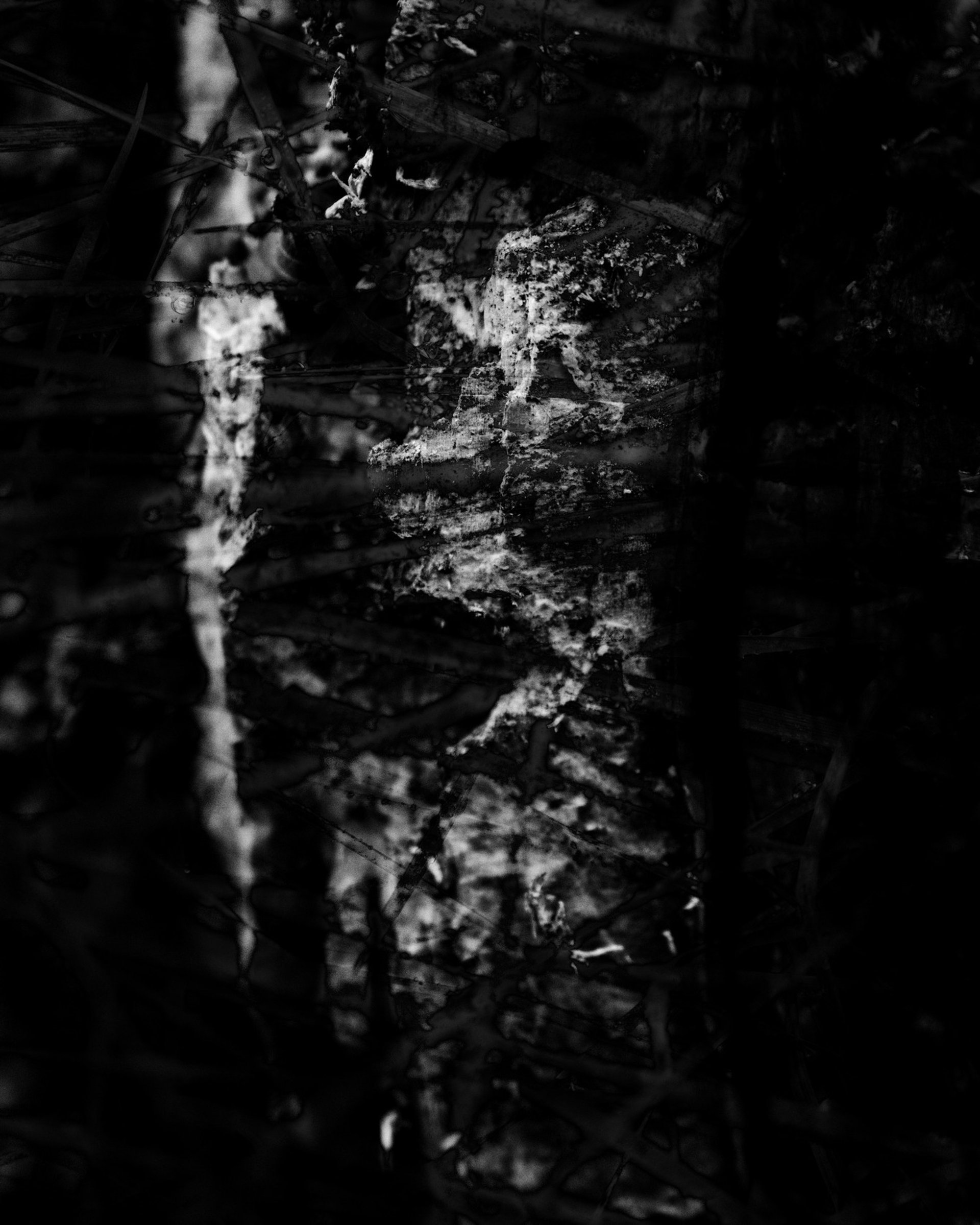 black and white bed linen