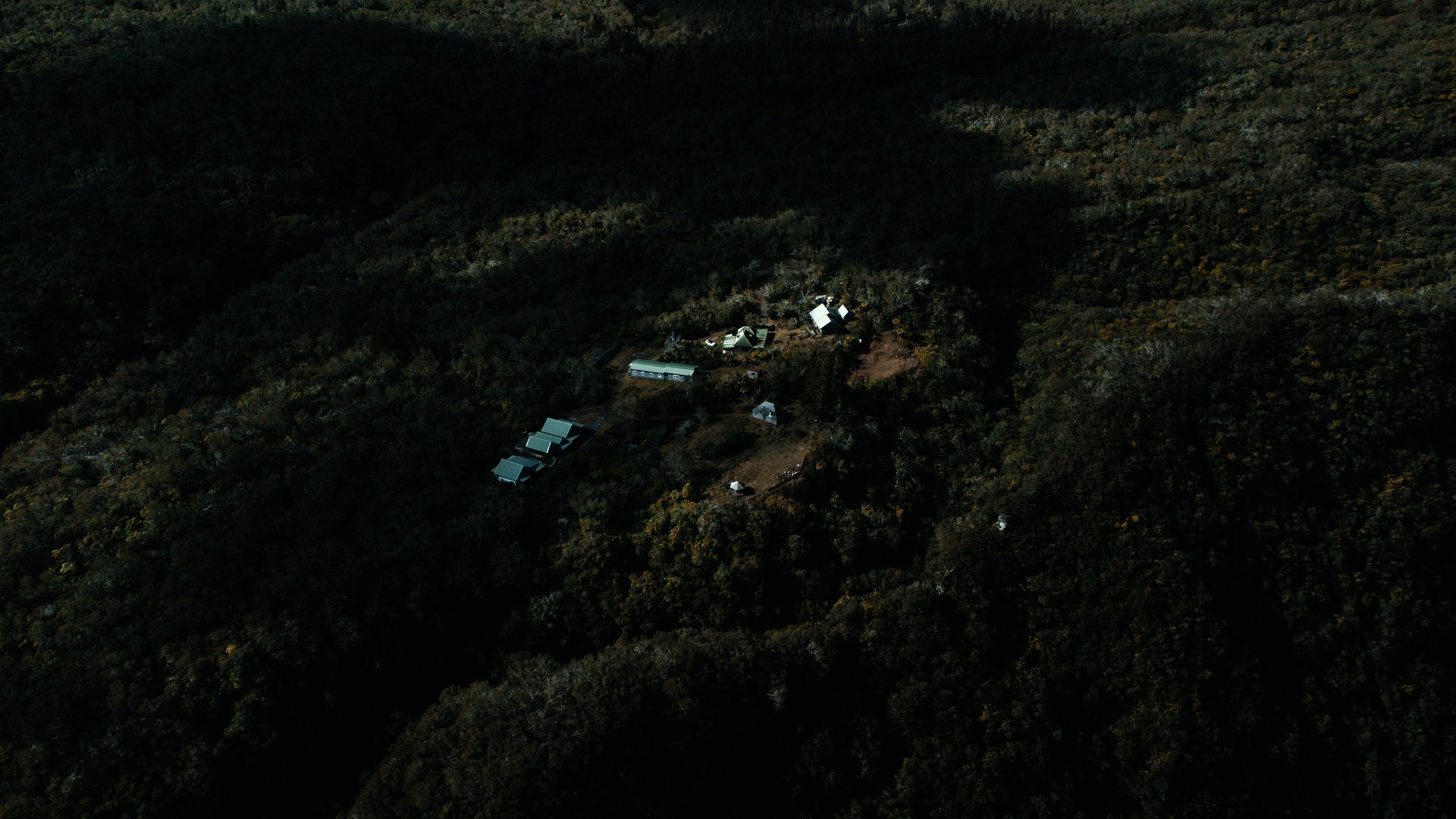 black blue and yellow textile