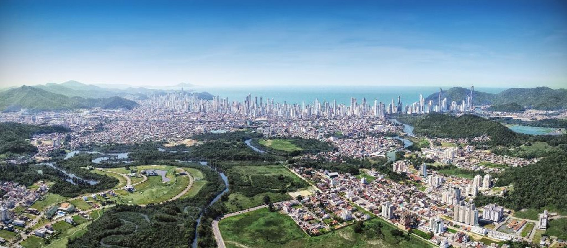 A herd of cattle standing on top of a lush green field