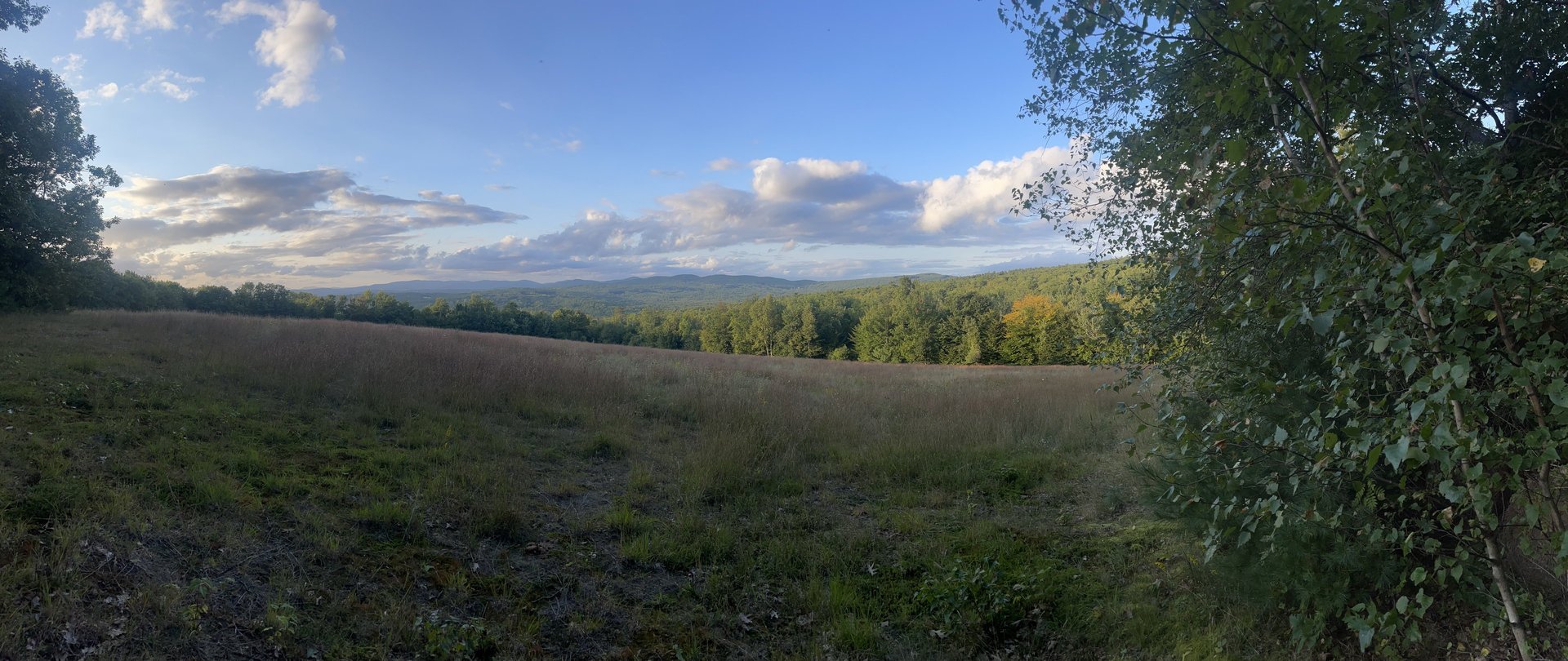 an abstract photo of a curved building with a blue sky in the background