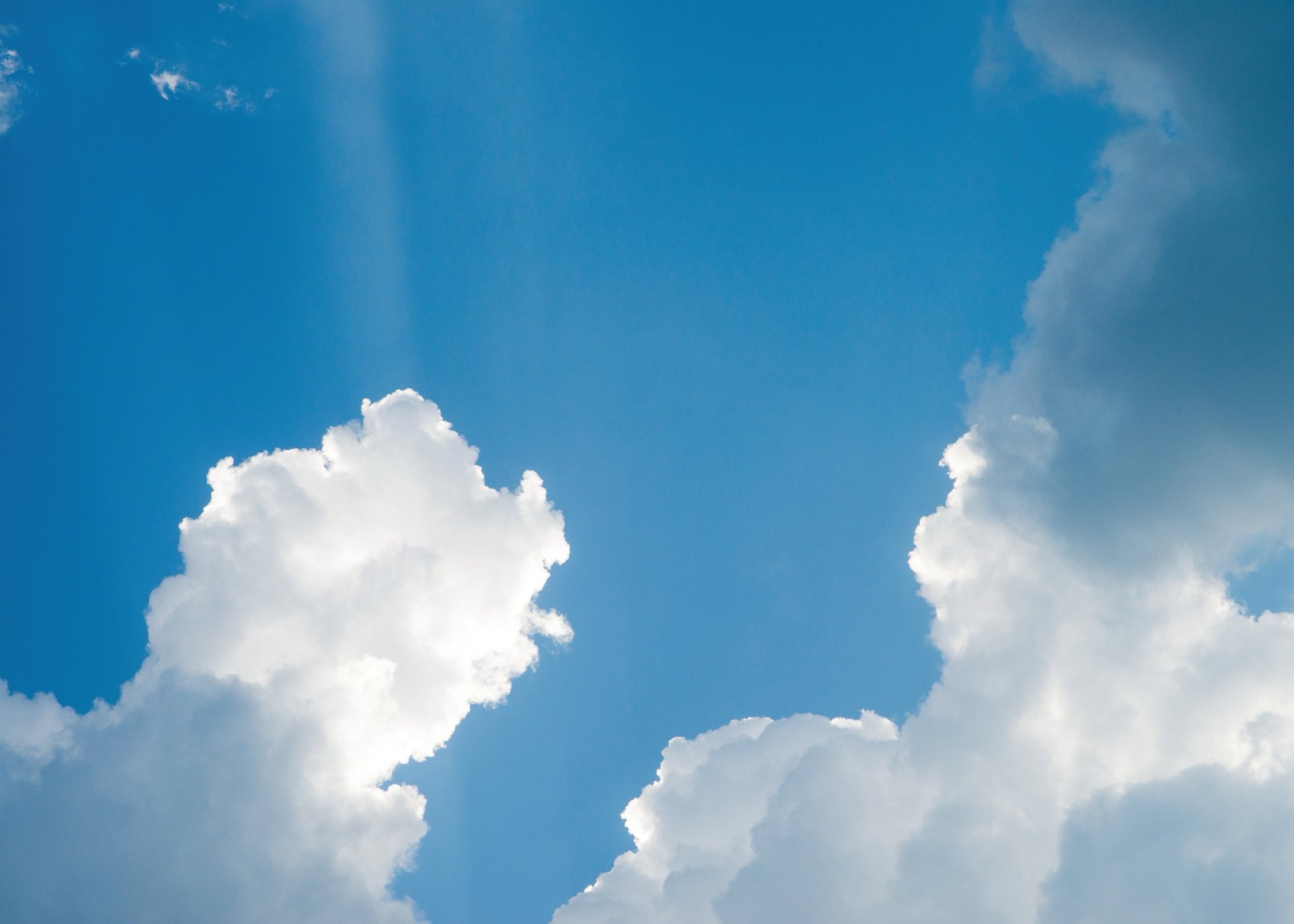 an abstract photo of a curved building with a blue sky in the background
