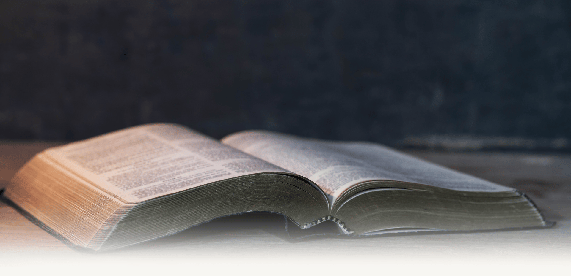 open pocket bible on green surface