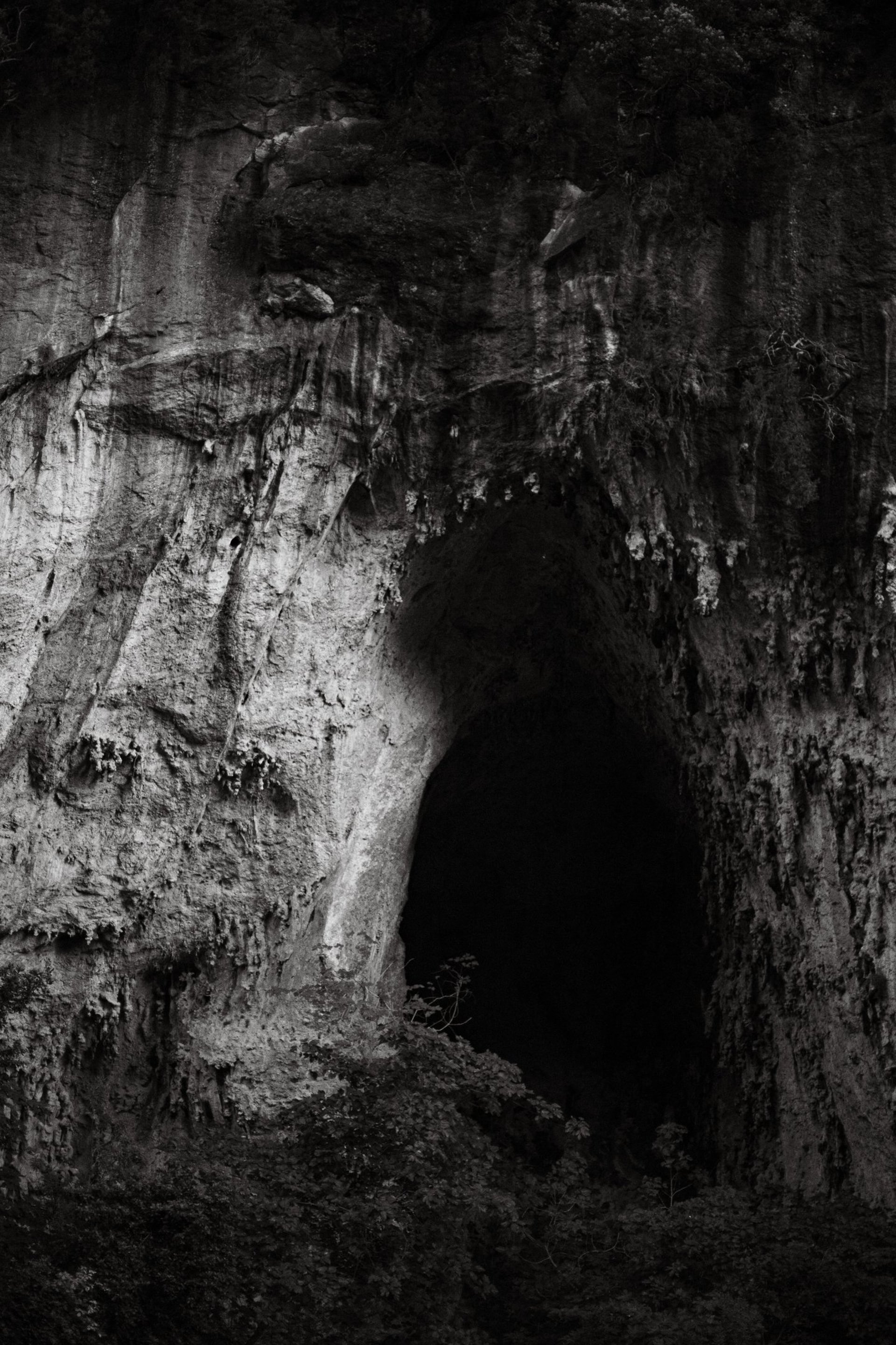 black and white bed linen