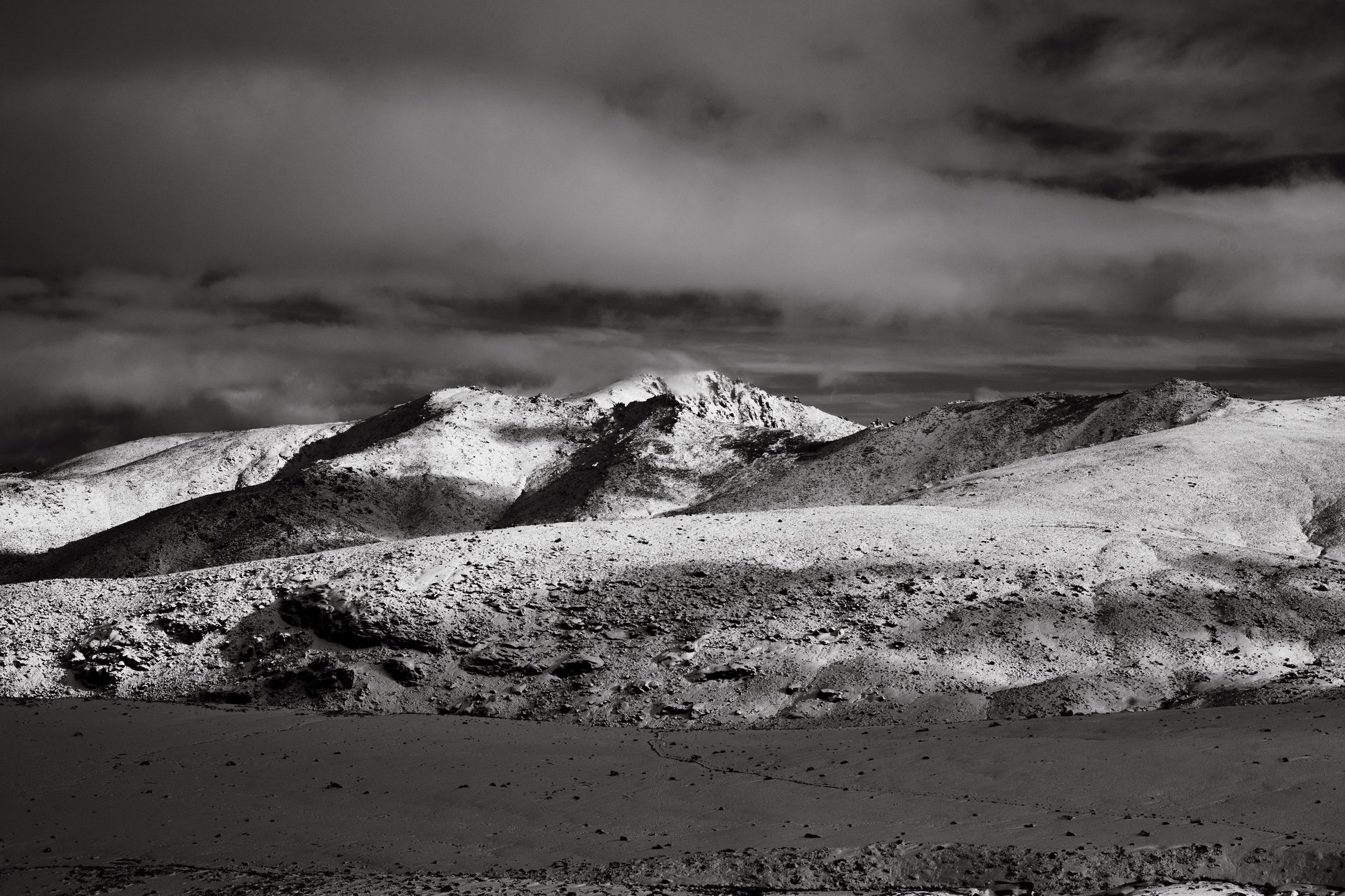 black and white bed linen