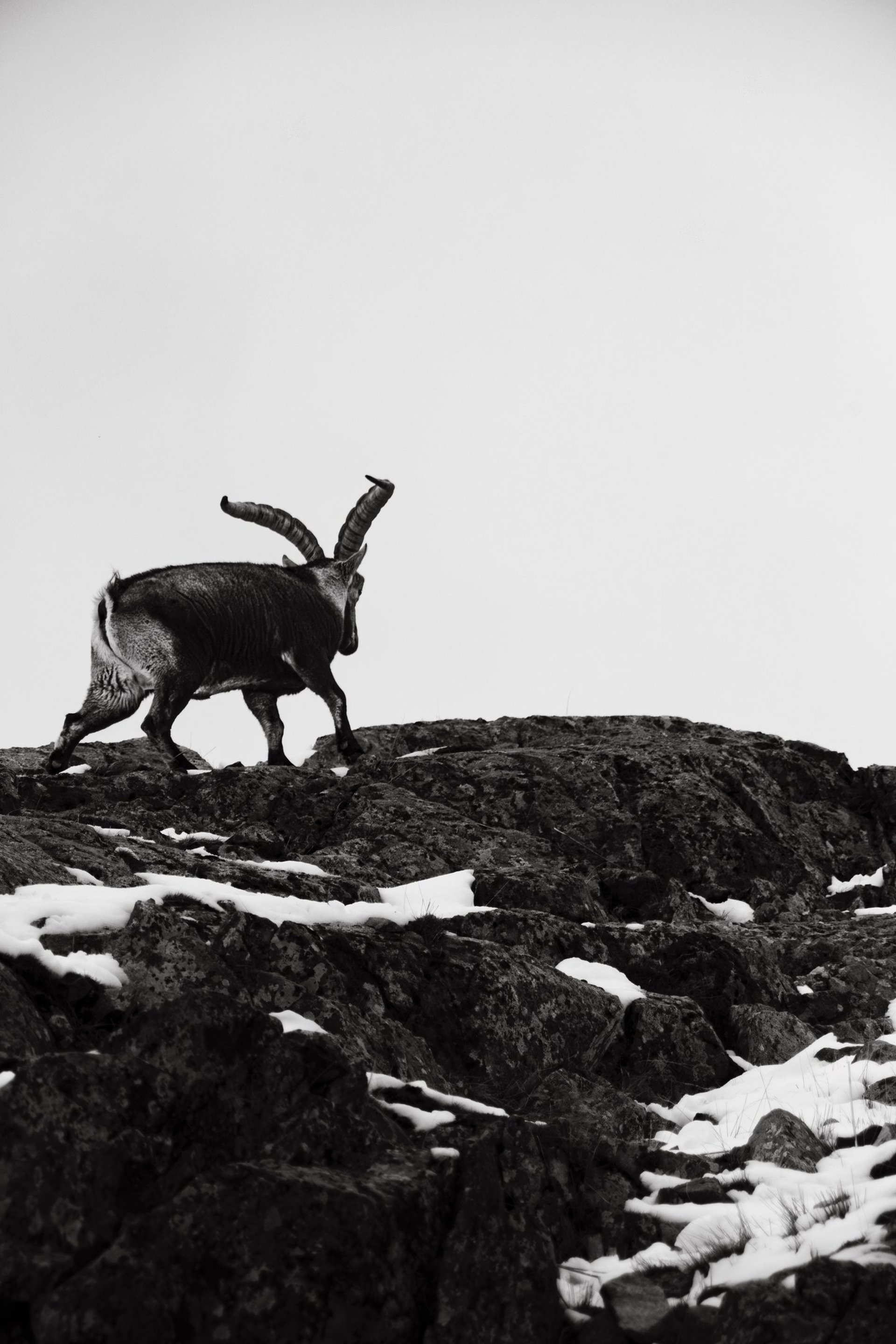 mountain range under blue sky