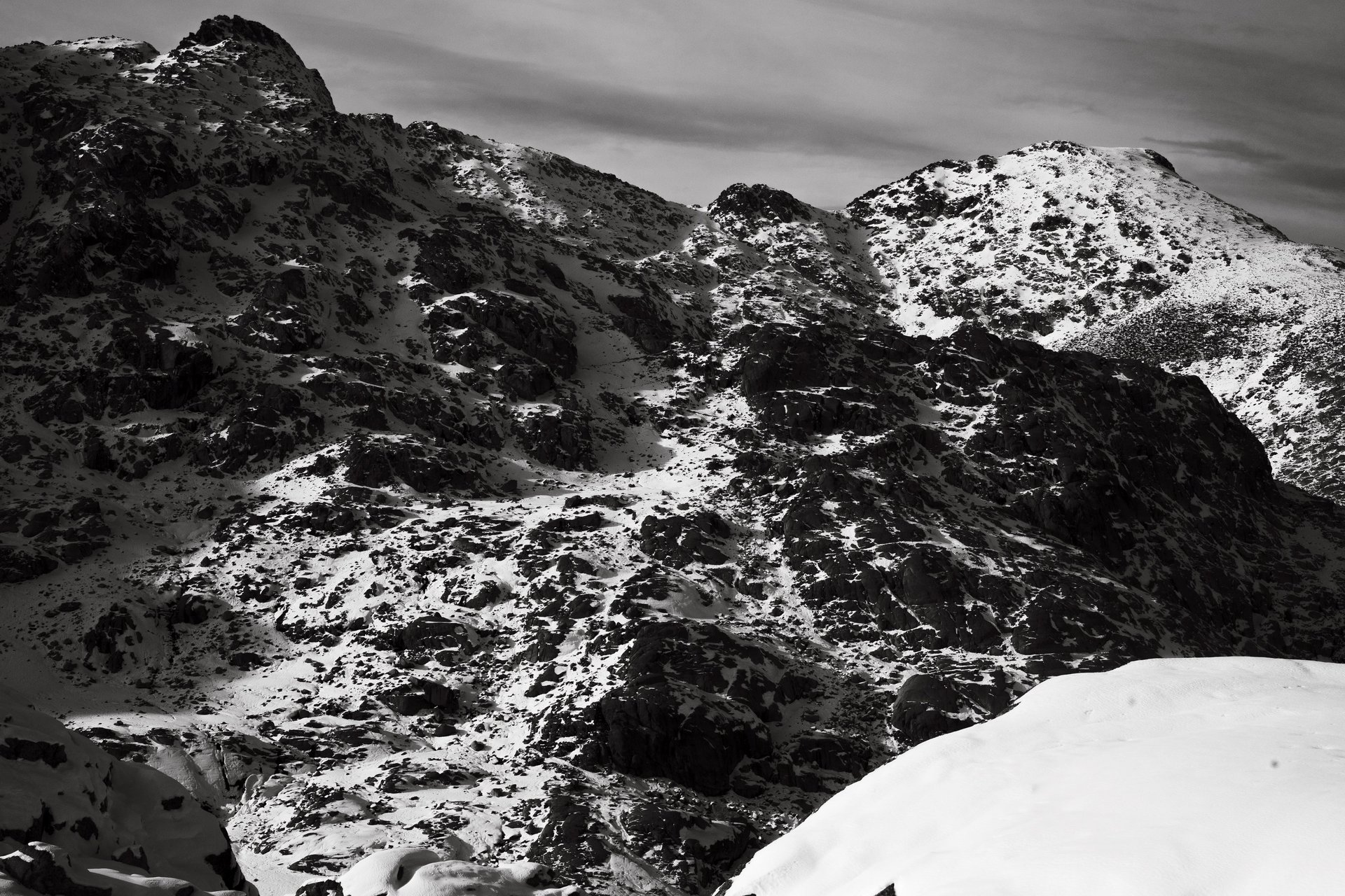 black and white bed linen