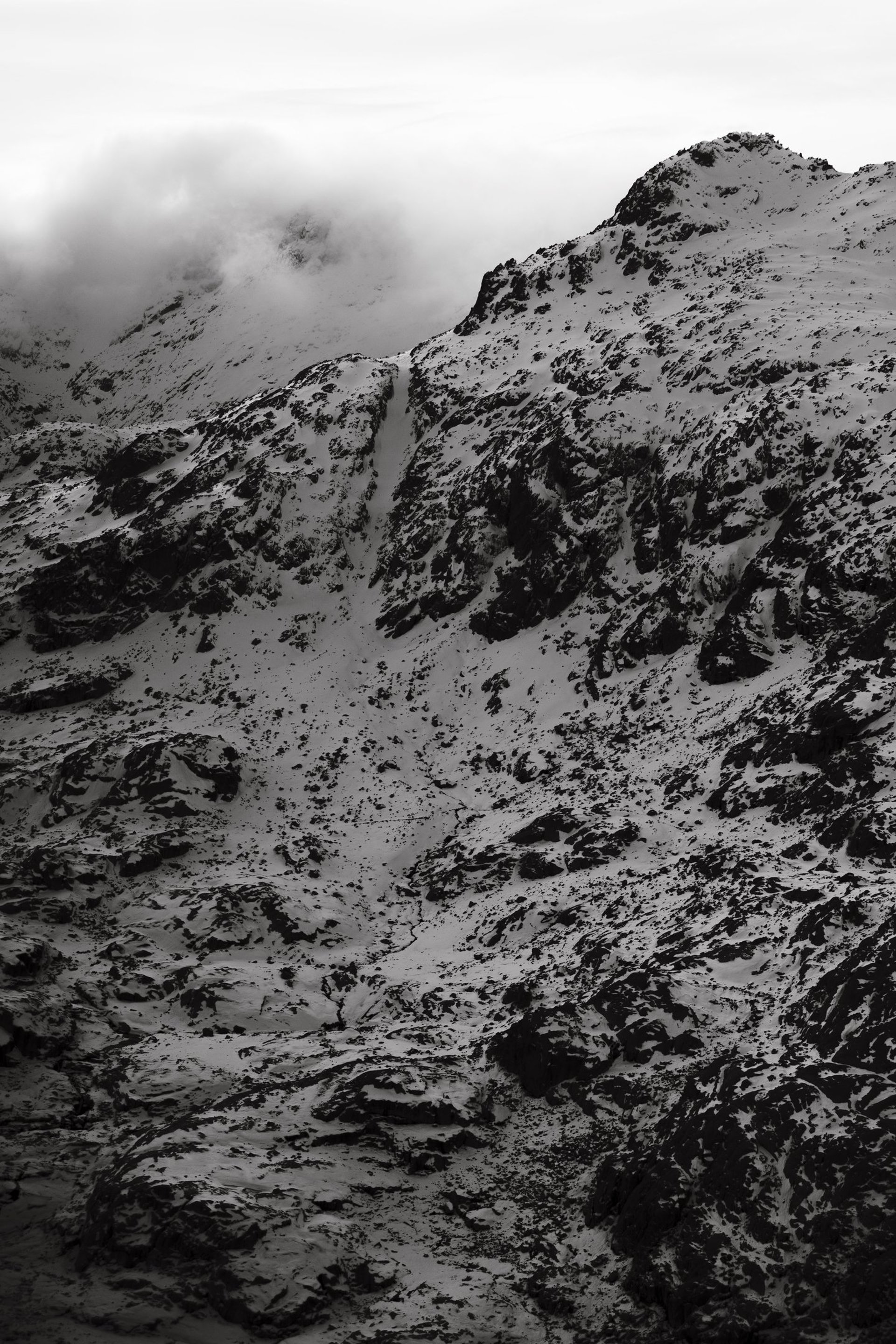 black and white bed linen