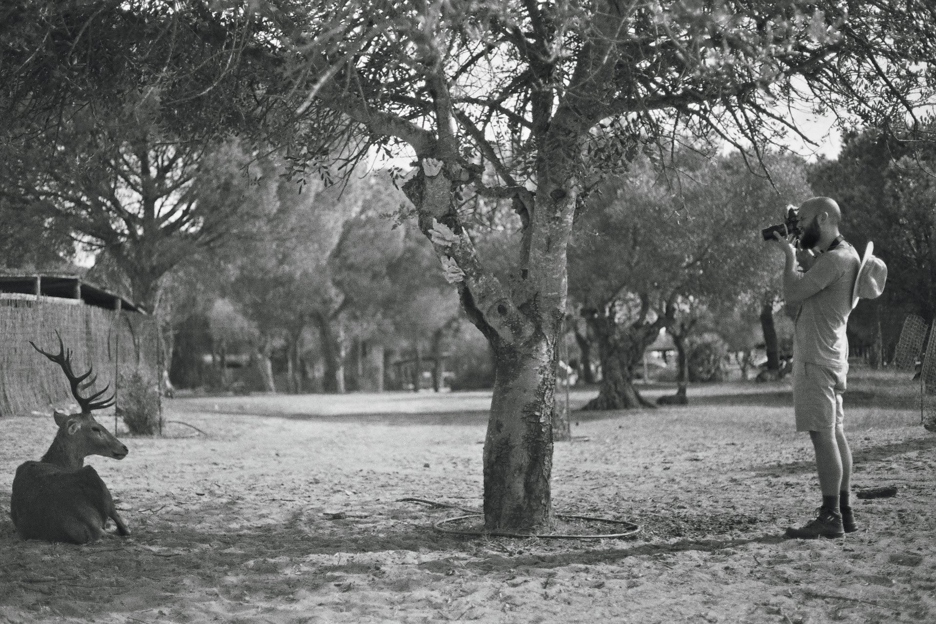 black and white bed linen