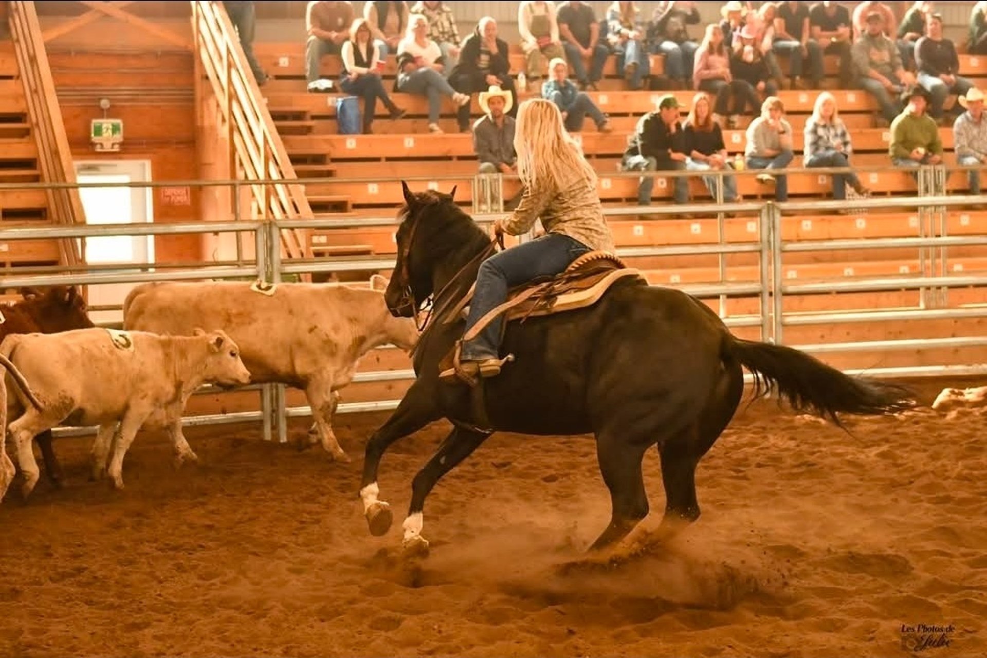 black and brown leather padded tub sofa