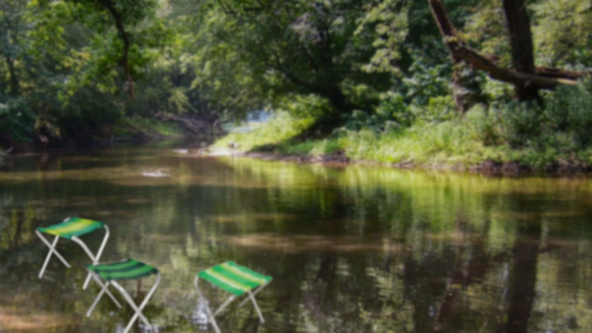 green palm tree during daytime