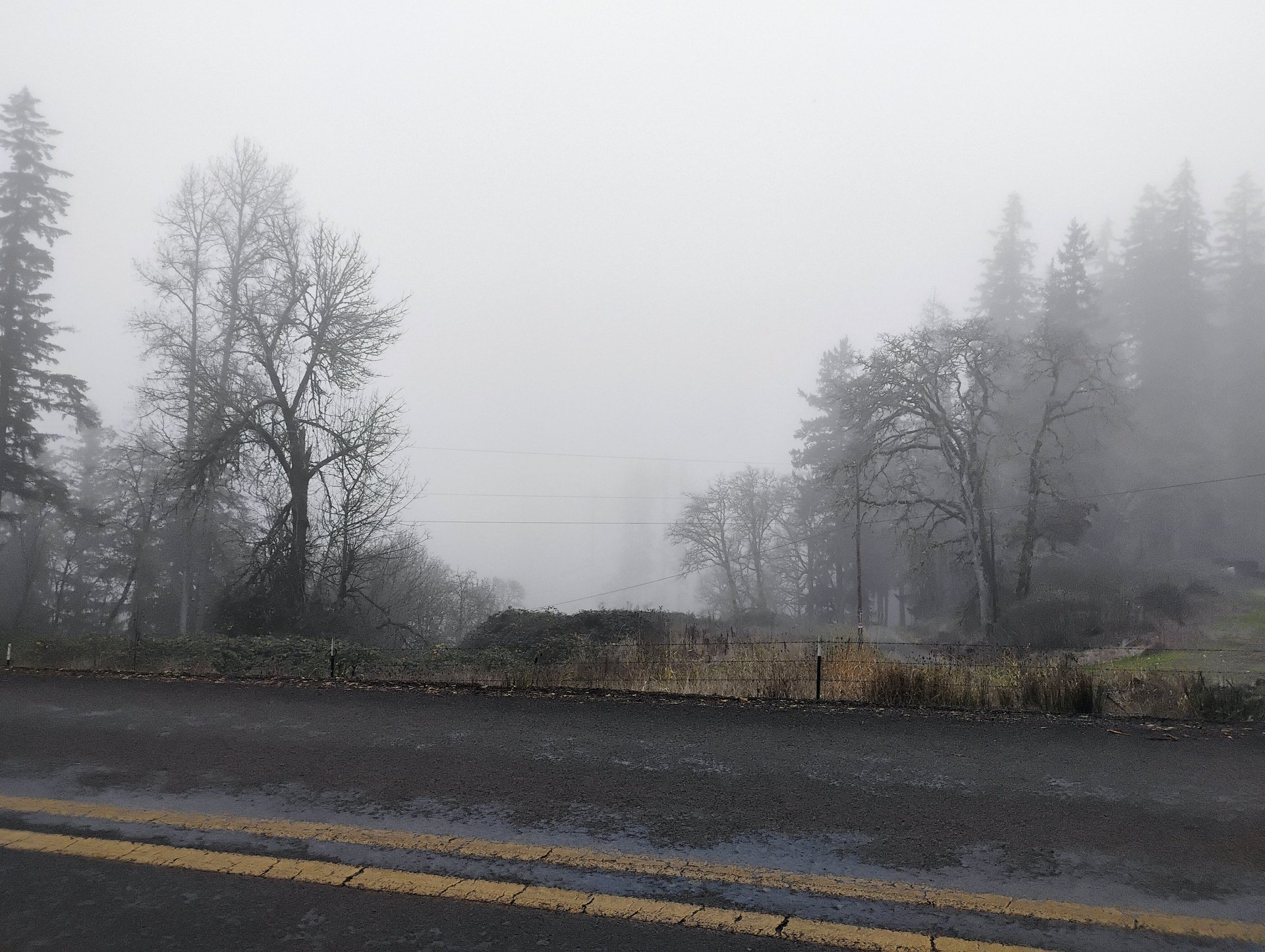 woman wearing yellow long-sleeved dress under white clouds and blue sky during daytime