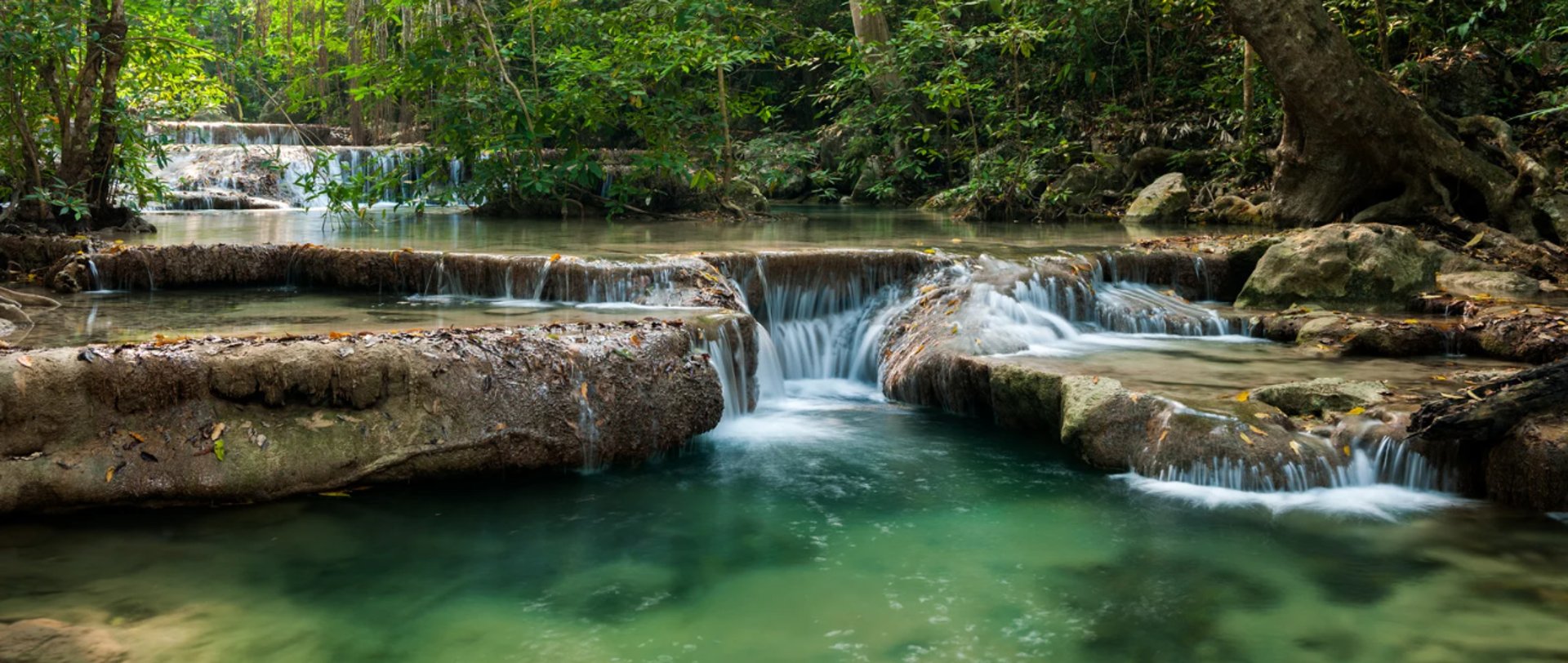 water falls in the forest