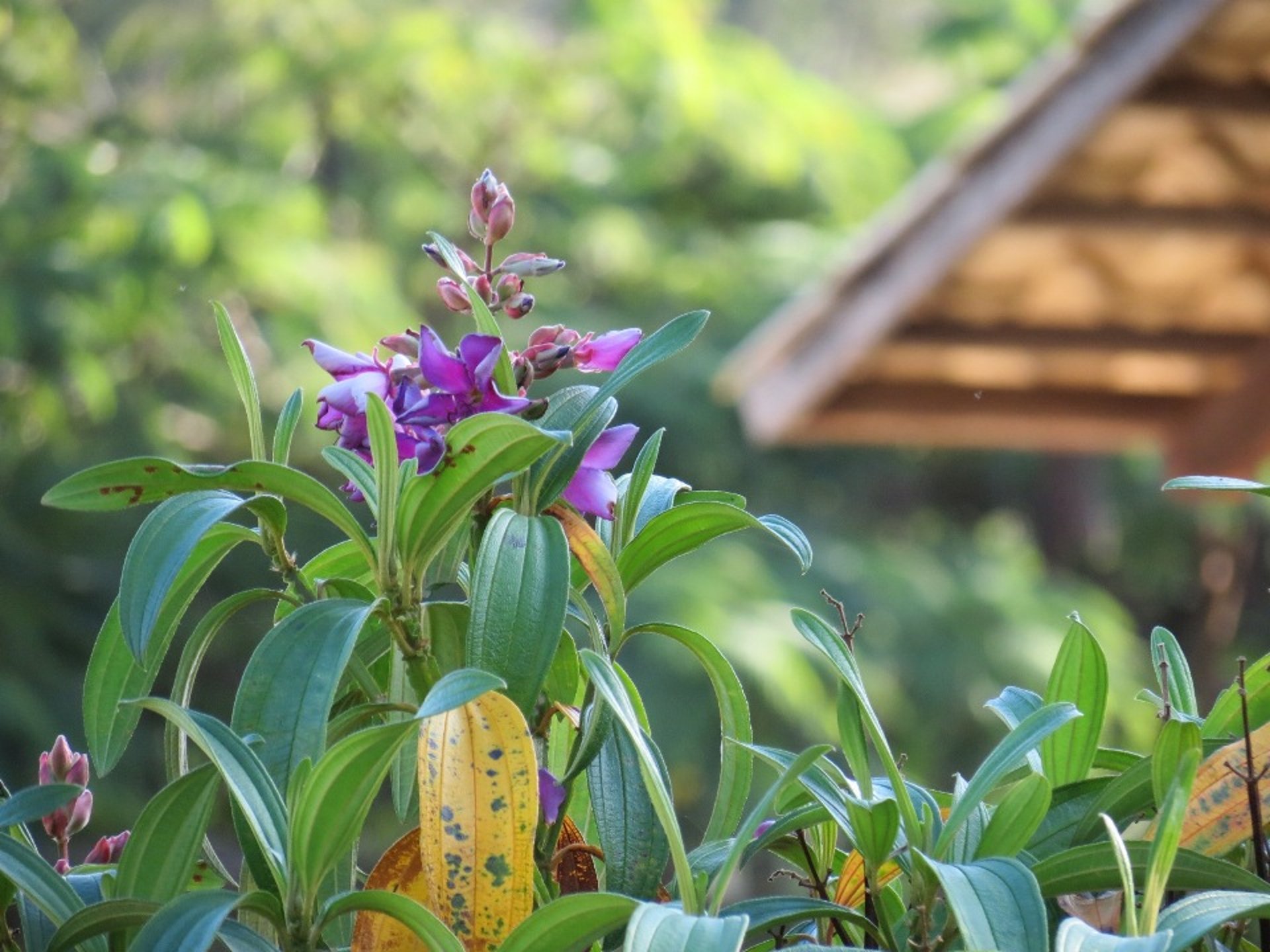 woman wearing yellow long-sleeved dress under white clouds and blue sky during daytime