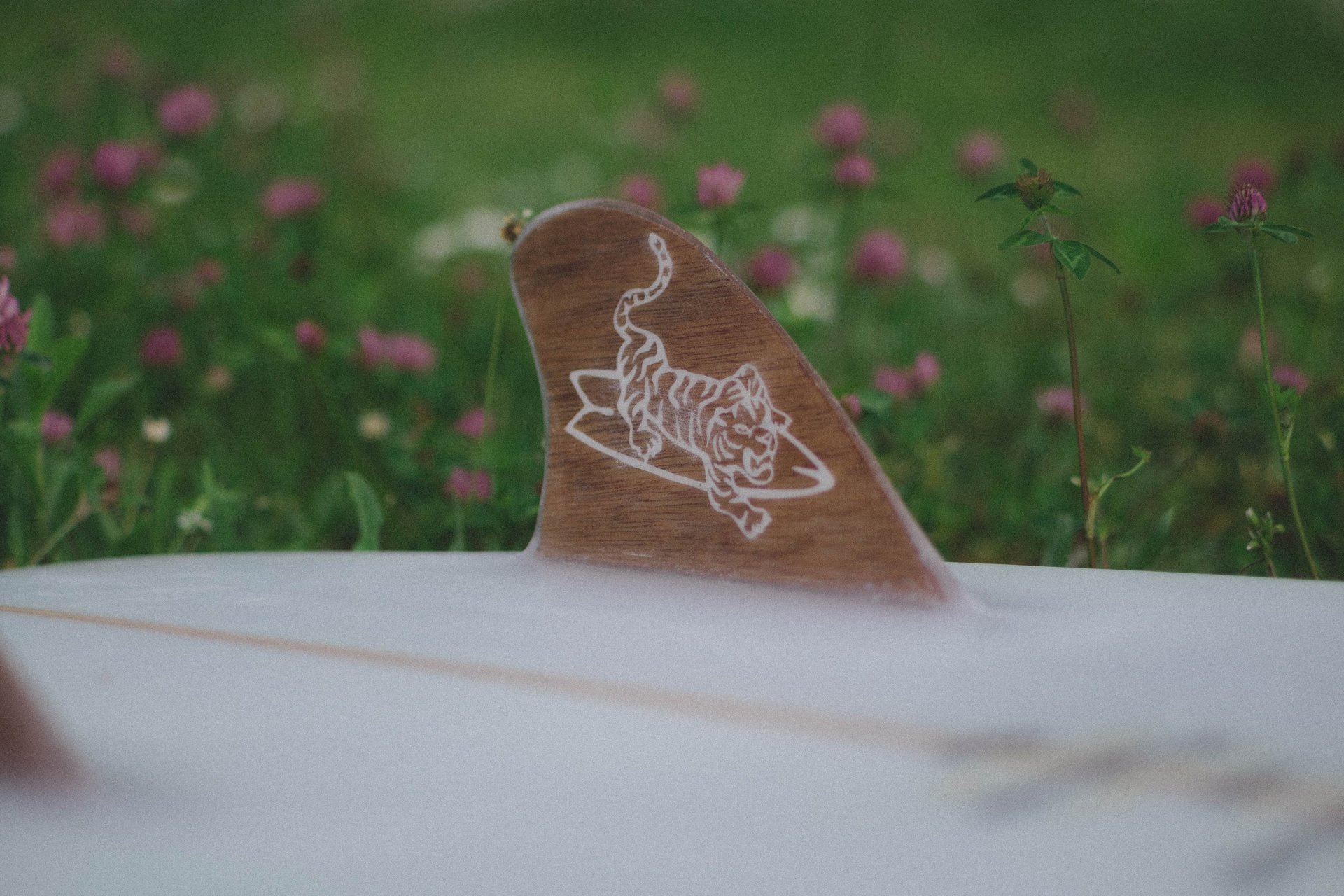 brown wooden clothes hangers on green plants