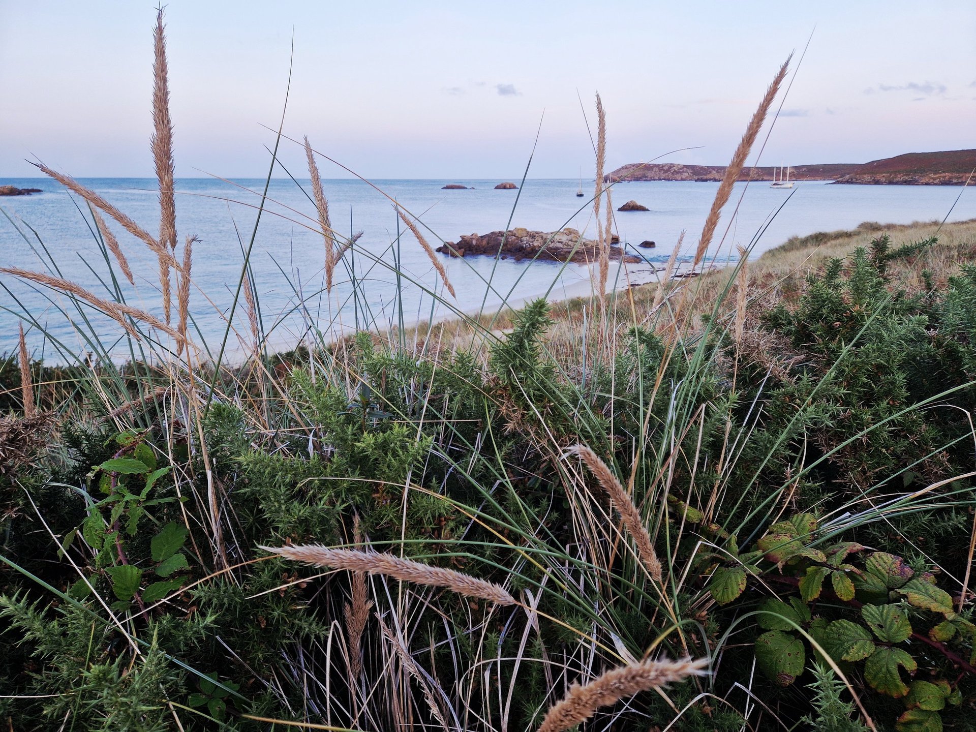 Sue Binding pastel artwork 'No Entry'