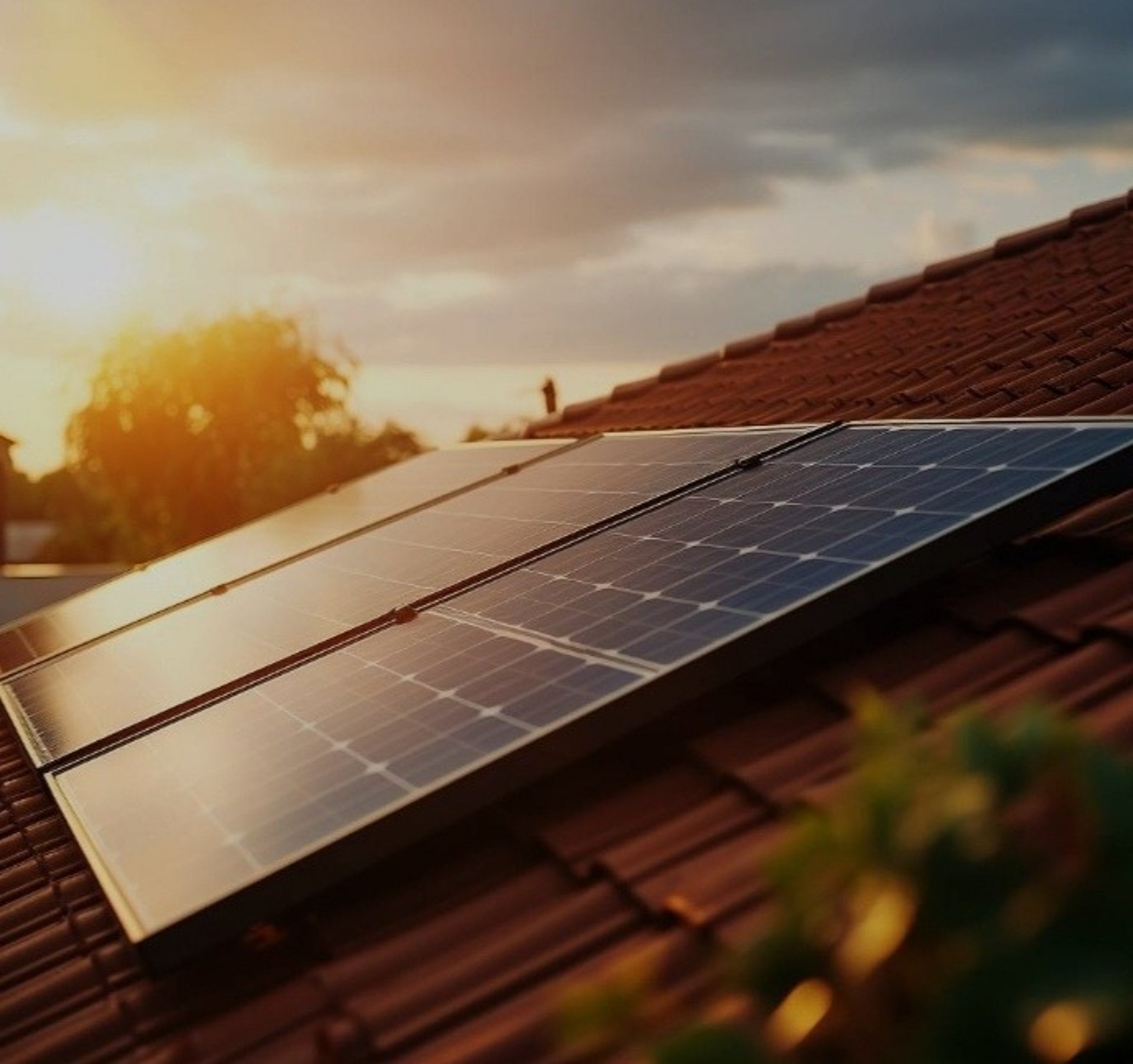 photo of three solar panels