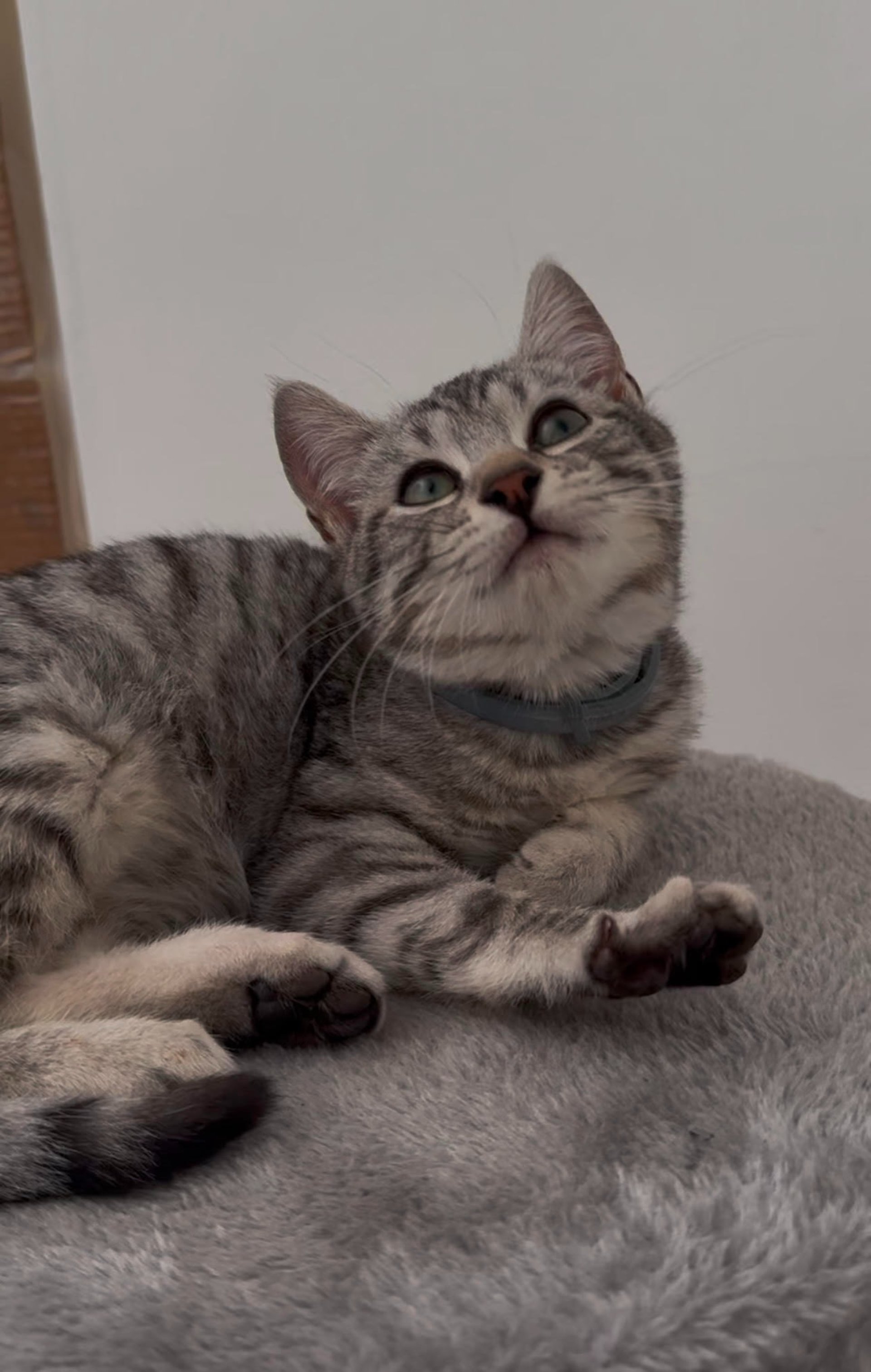 an abstract photo of a curved building with a blue sky in the background