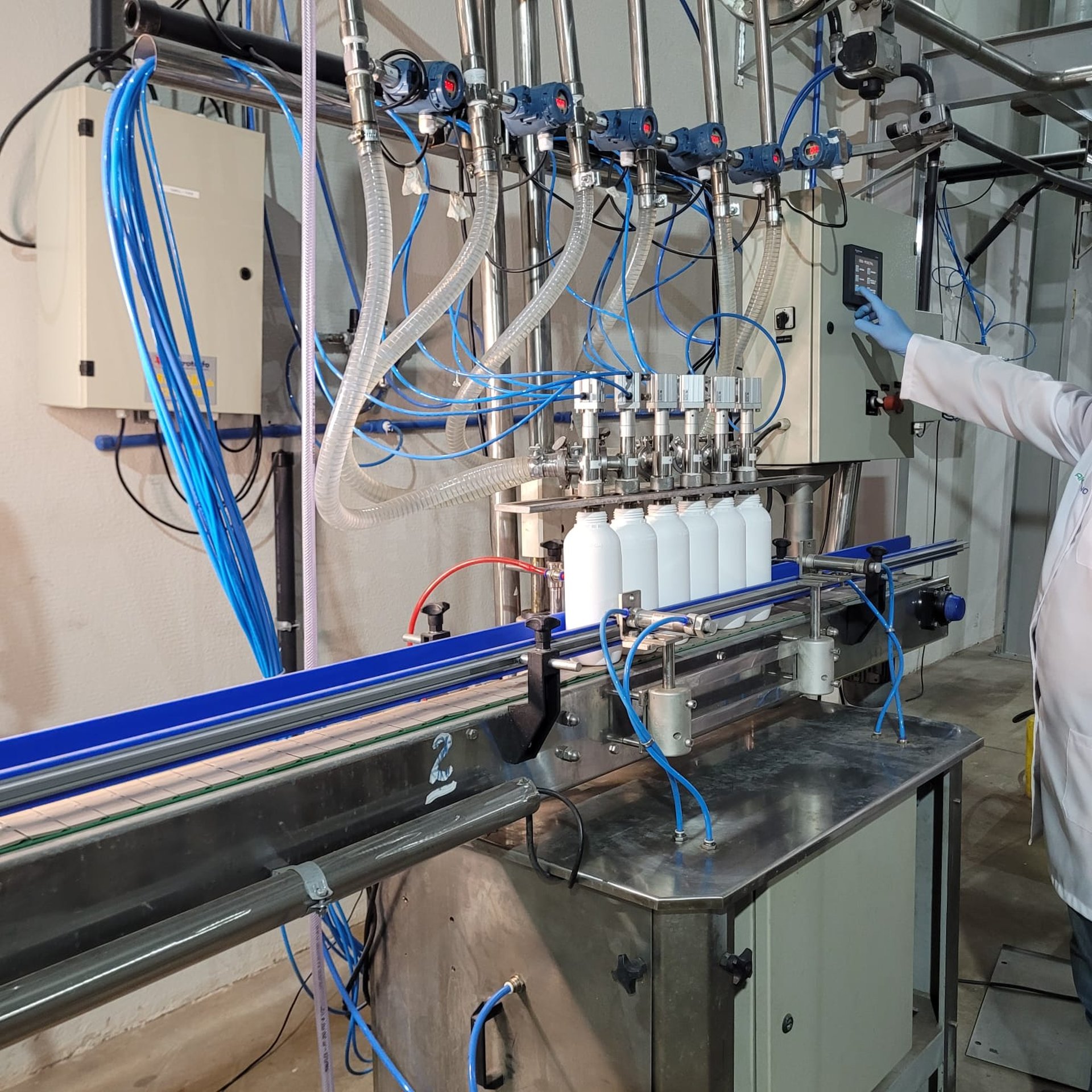 yellow sunflower field during daytime