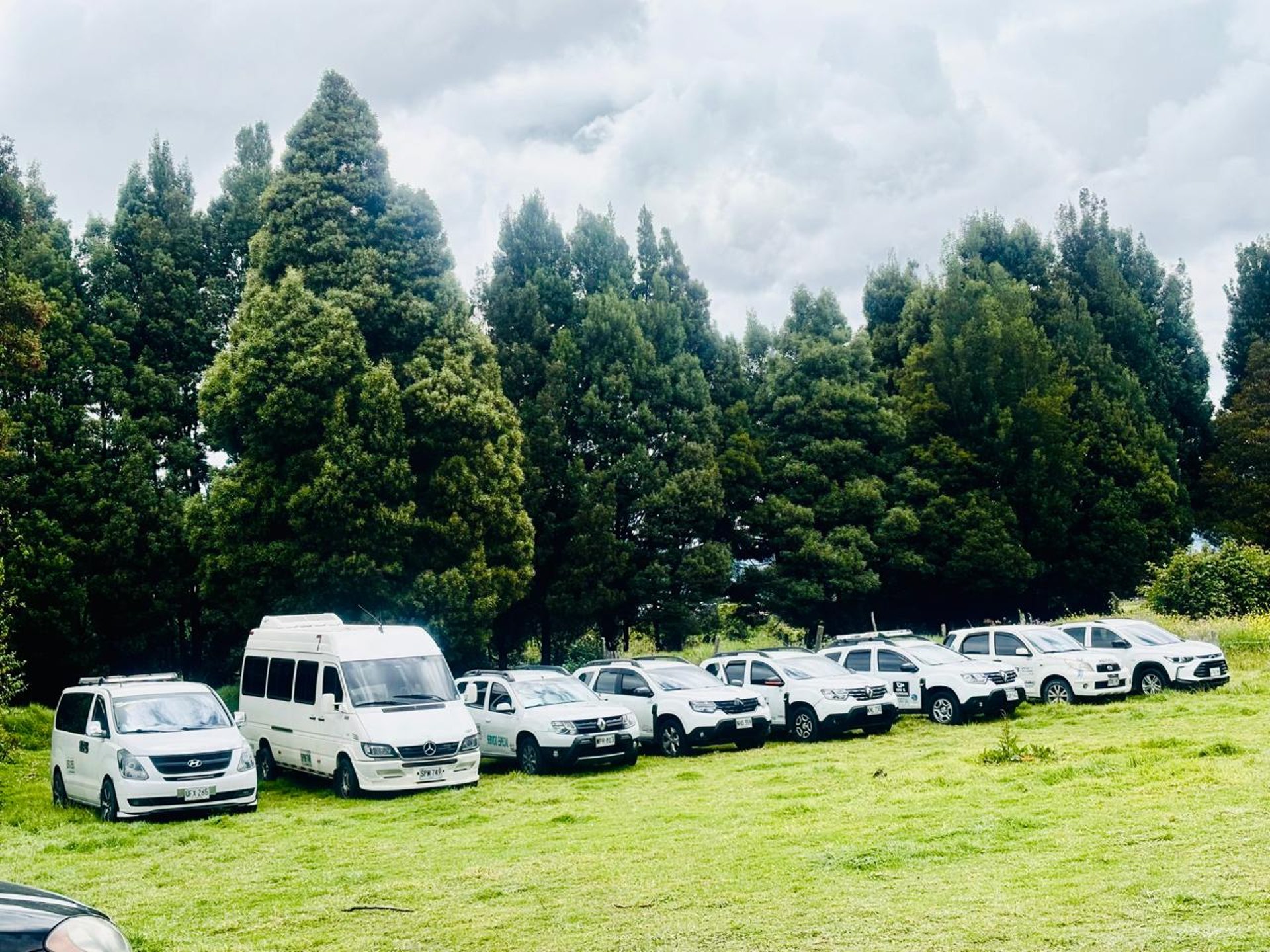 black and brown leather padded tub sofa