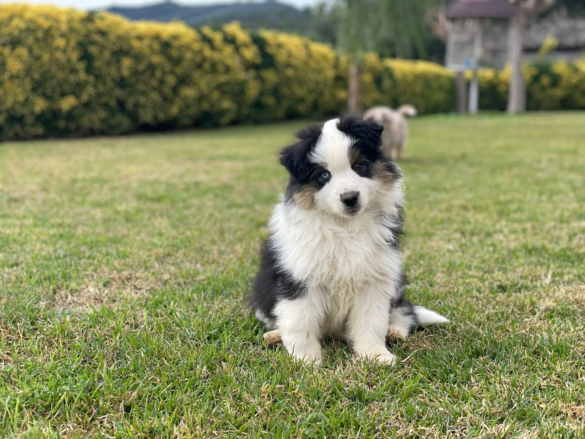 woman wearing yellow long-sleeved dress under white clouds and blue sky during daytime