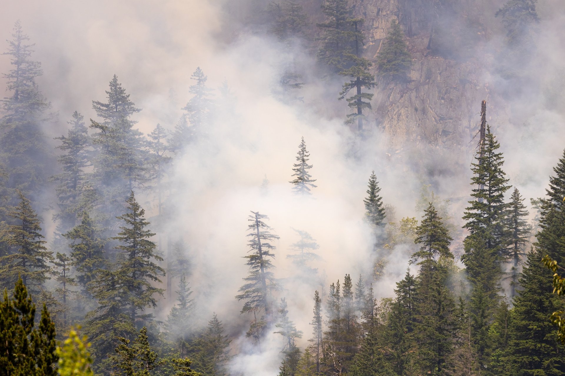 woman wearing yellow long-sleeved dress under white clouds and blue sky during daytime