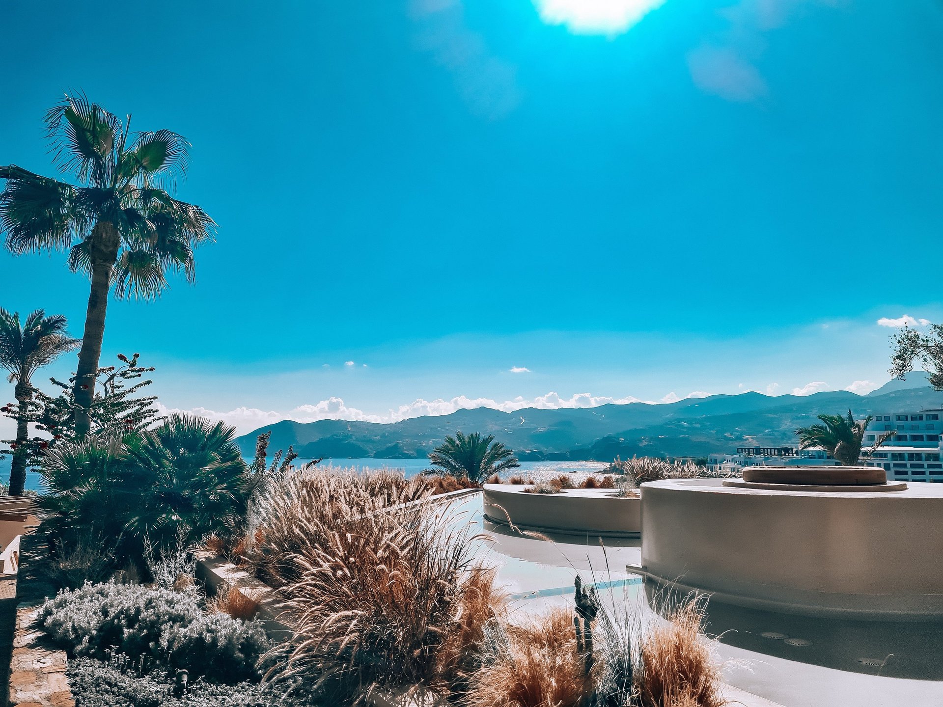 black and white bed linen