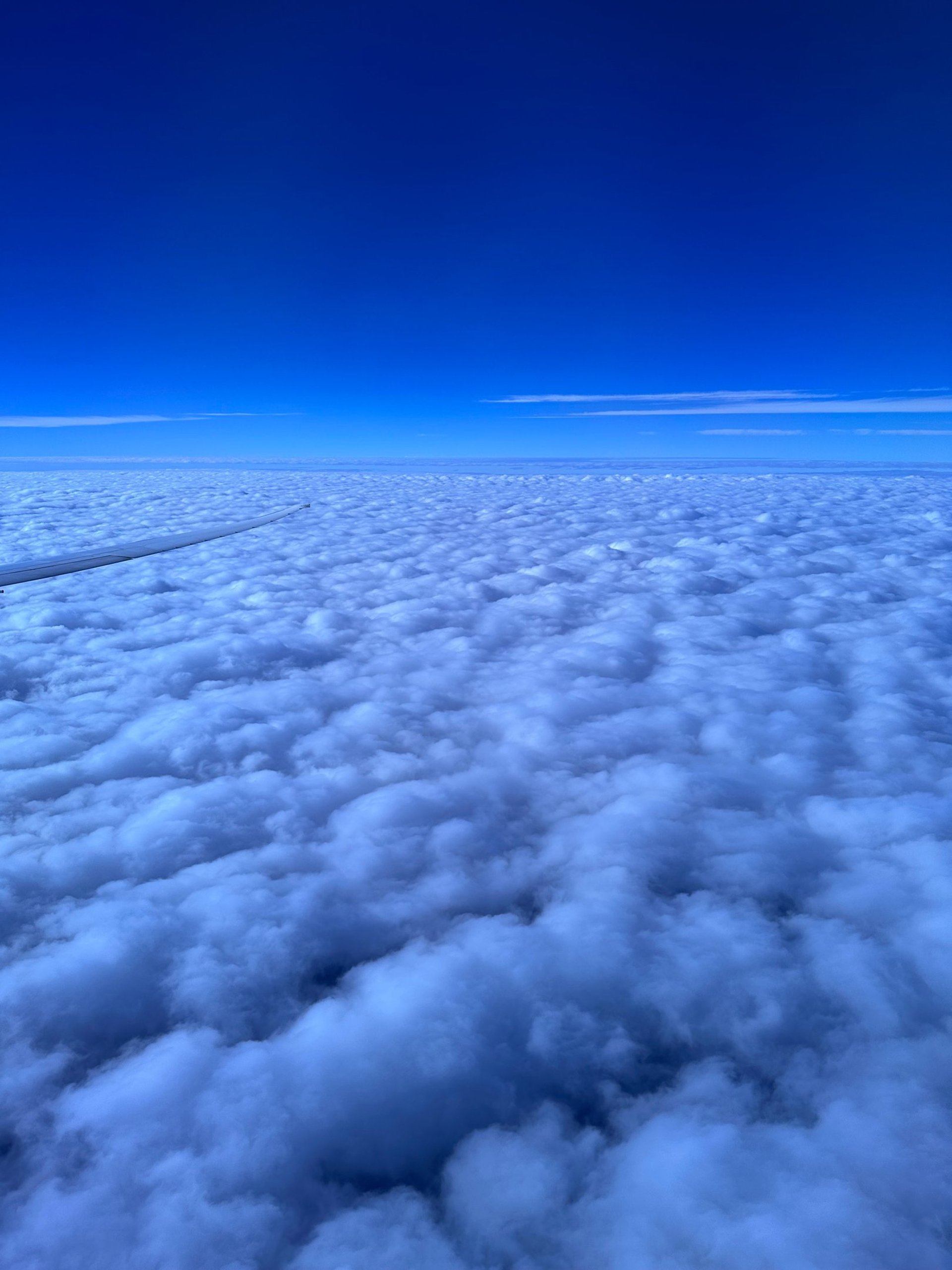 an abstract photo of a curved building with a blue sky in the background