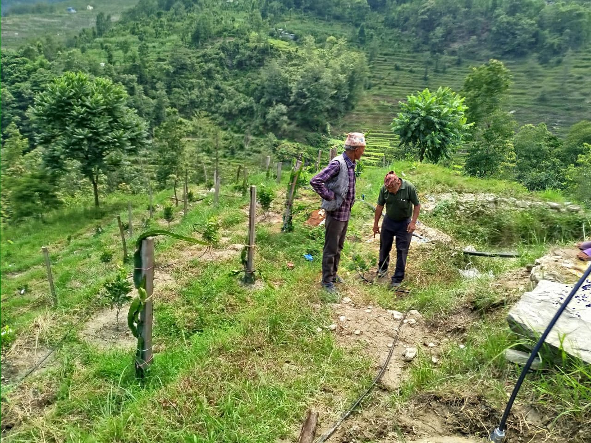 black blue and yellow textile