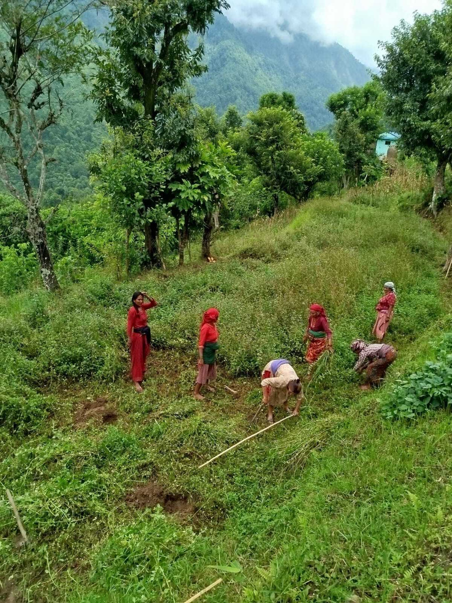 black blue and yellow textile
