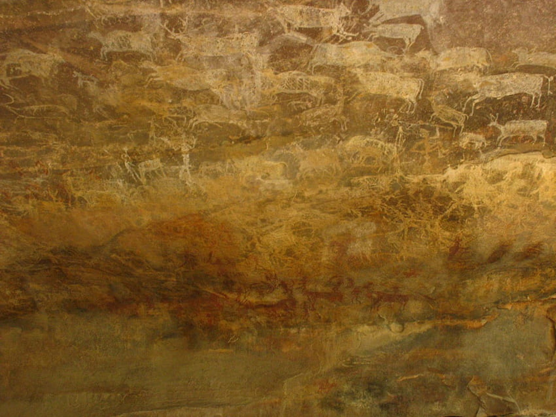 an abstract photo of a curved building with a blue sky in the background