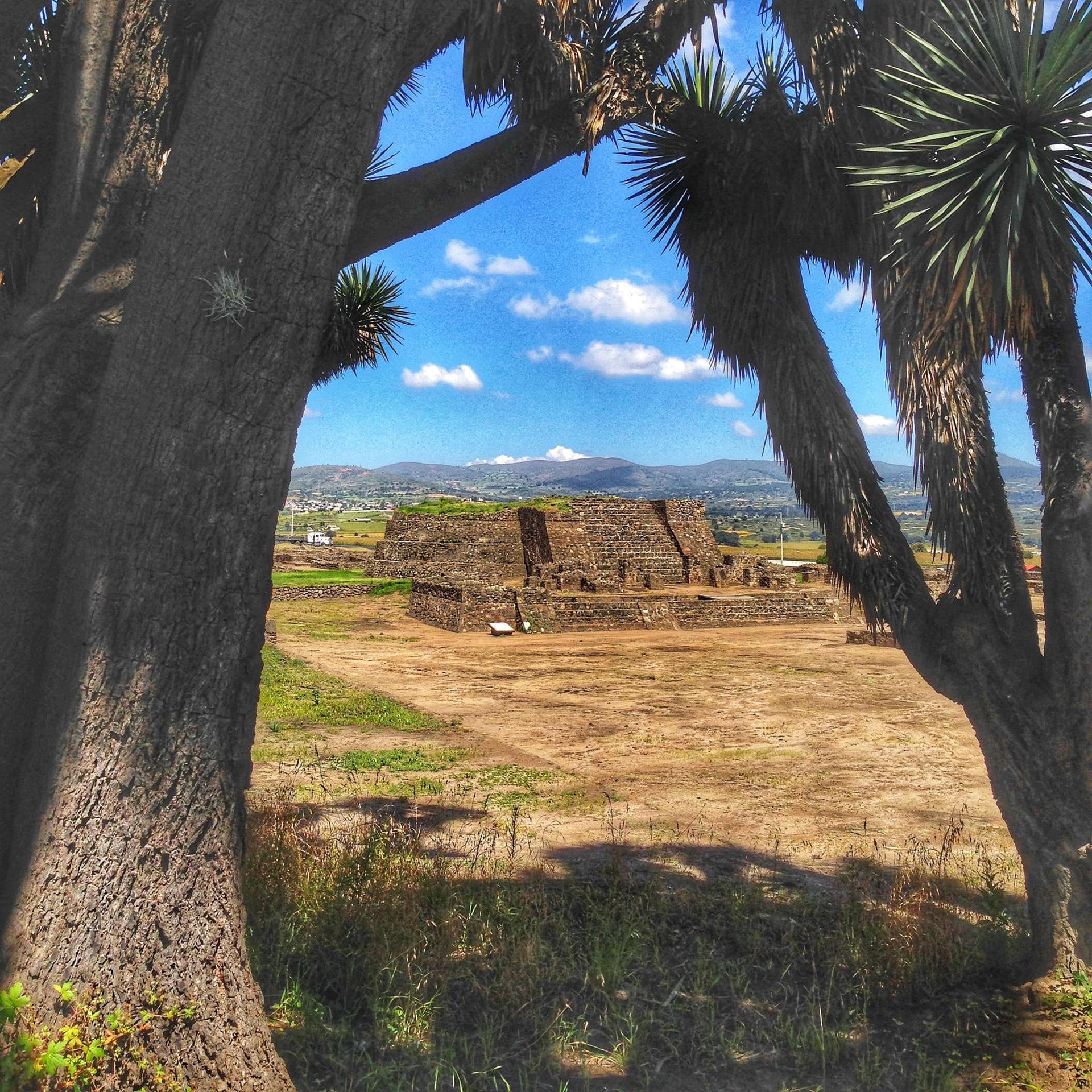 an abstract photo of a curved building with a blue sky in the background