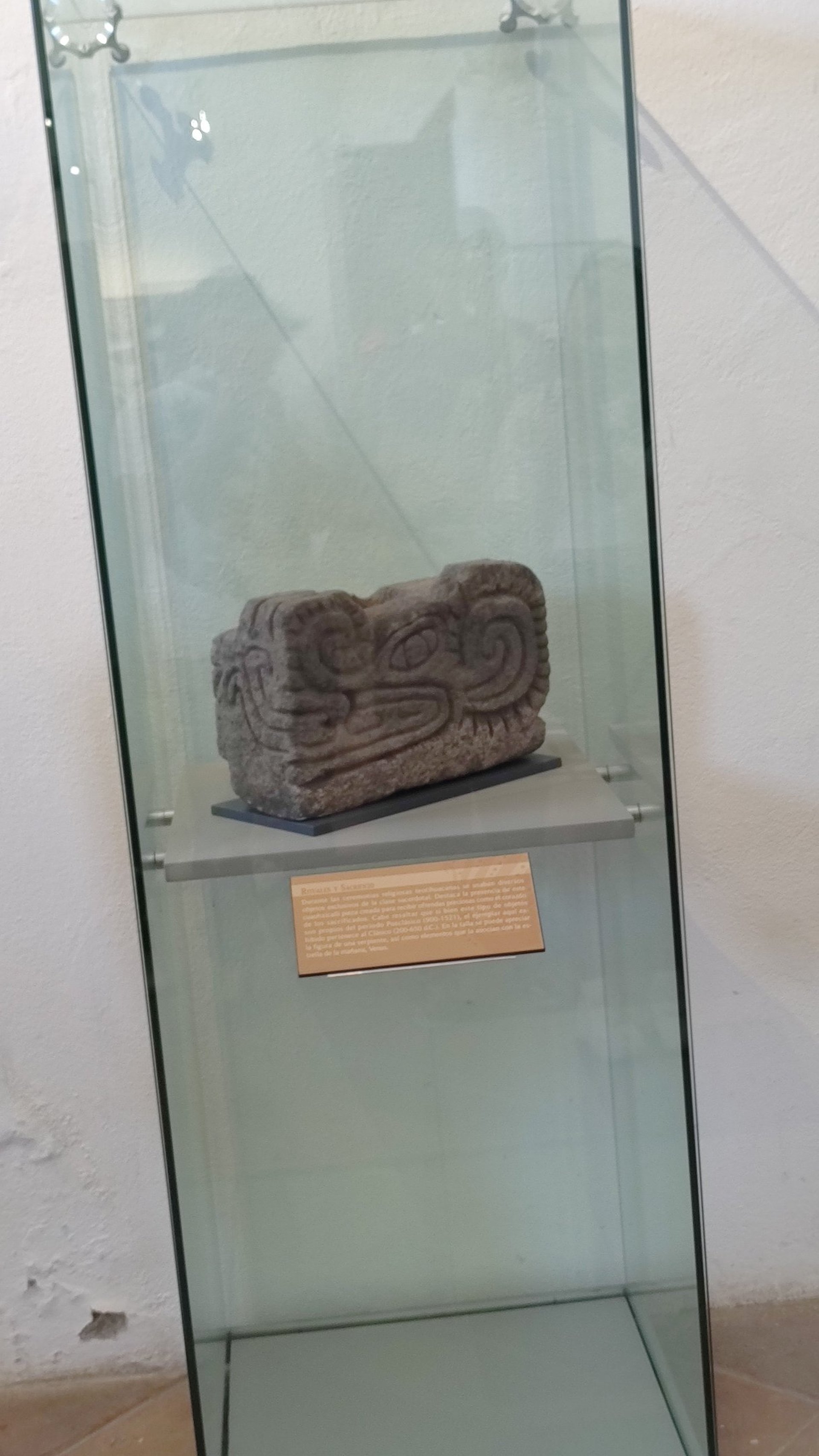 an abstract photo of a curved building with a blue sky in the background