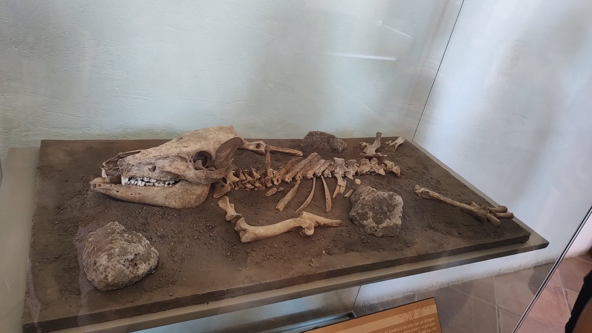 an abstract photo of a curved building with a blue sky in the background
