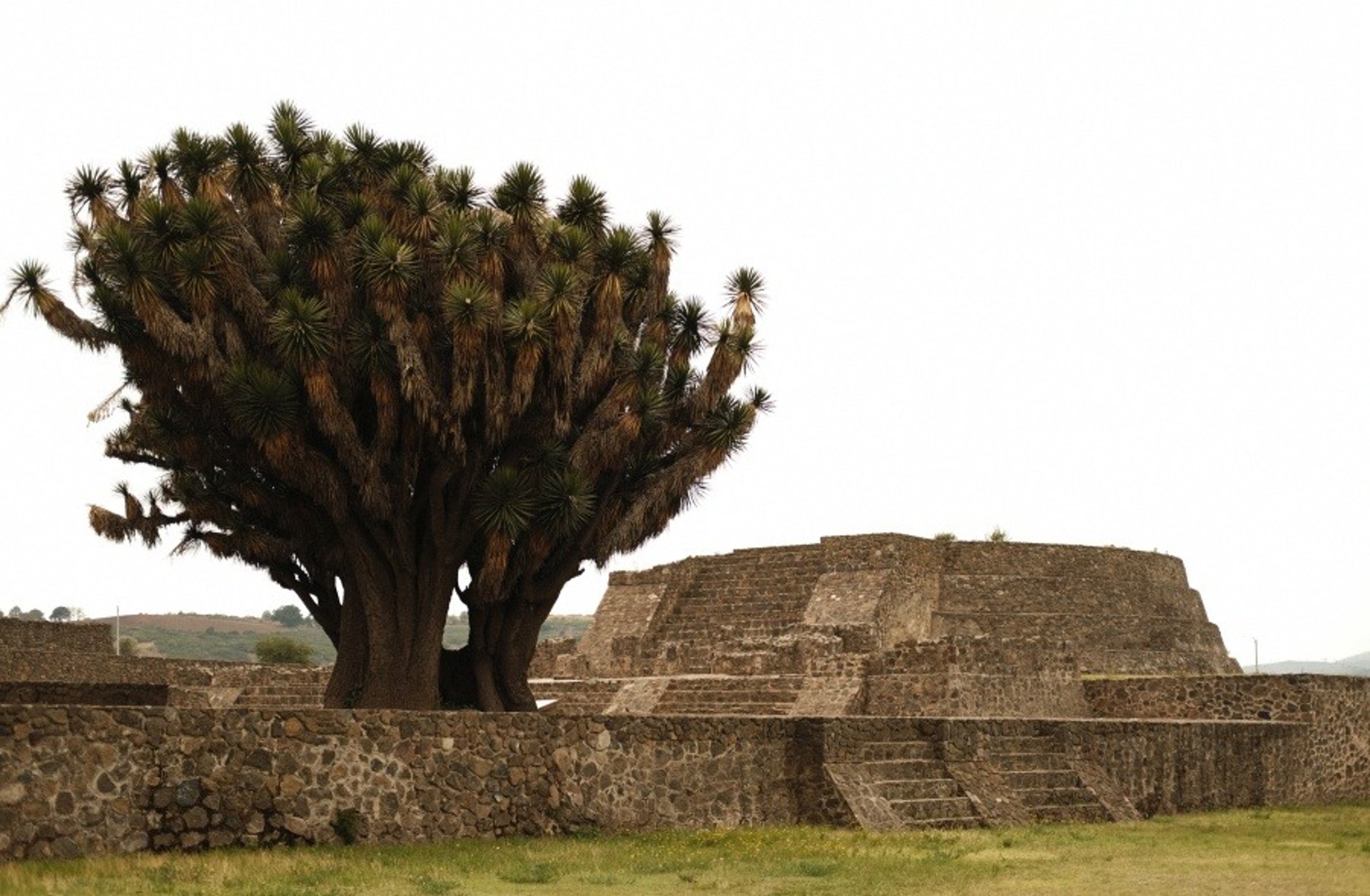 an abstract photo of a curved building with a blue sky in the background